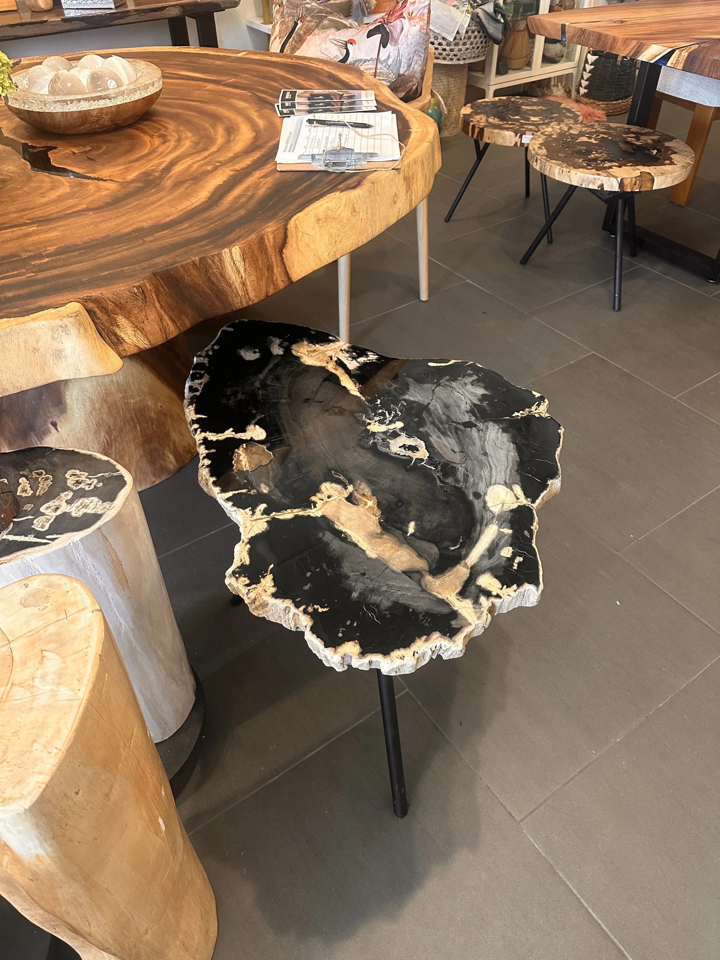 Petrified end table in La Jolla.JPG