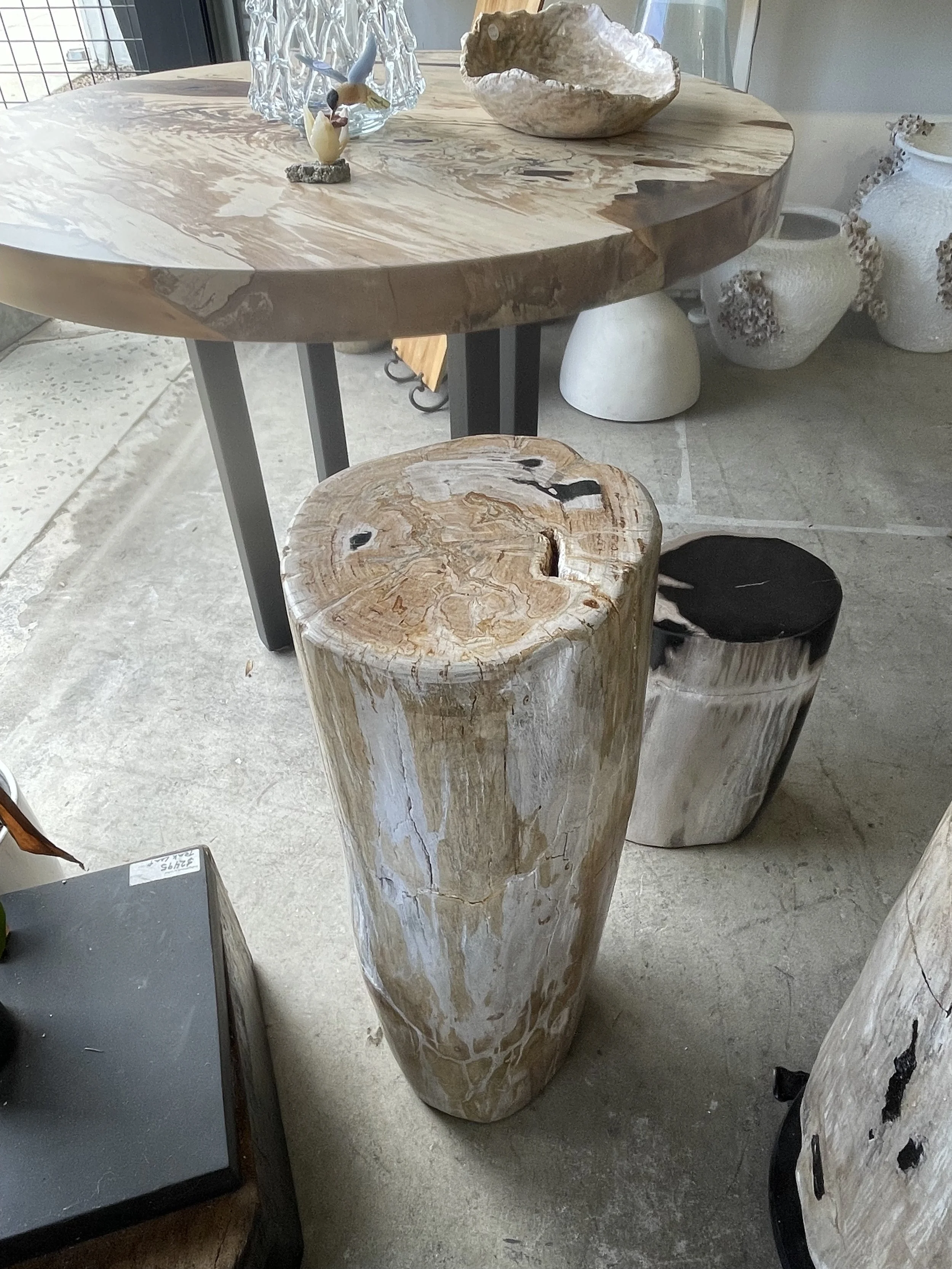 Cream and GOld Petrified Pedestal.jpeg