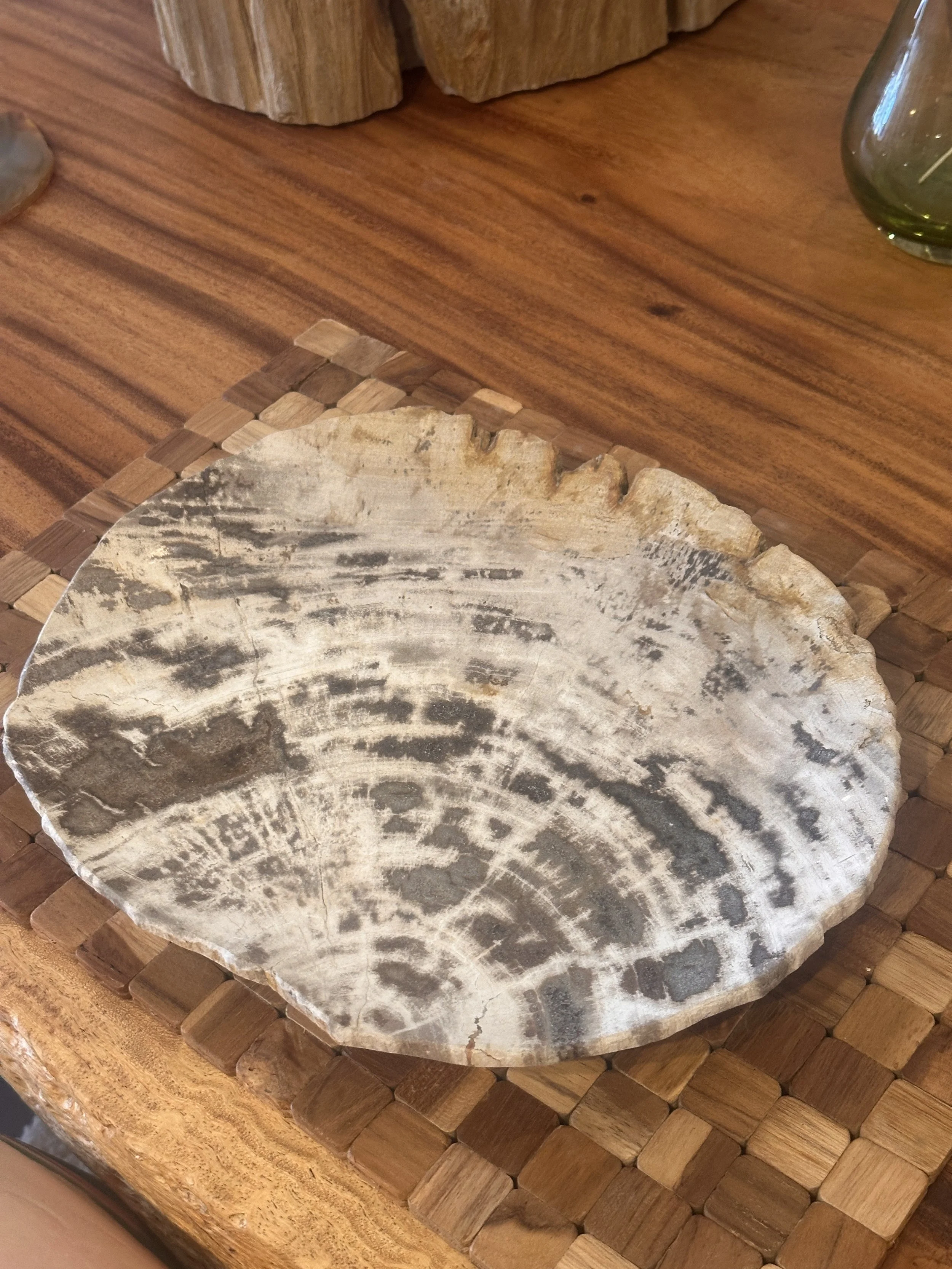 Organic shape petrified plate.JPG