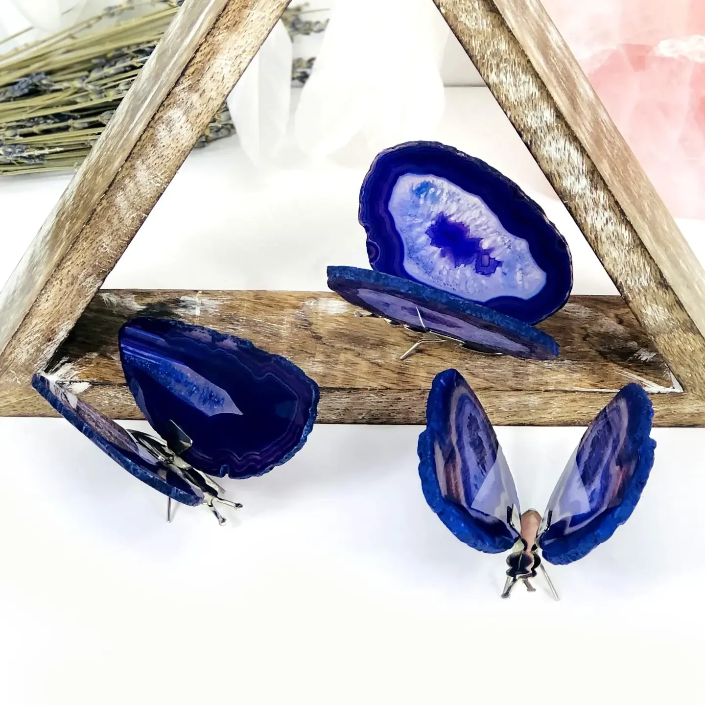 Purple Butterfly.webp