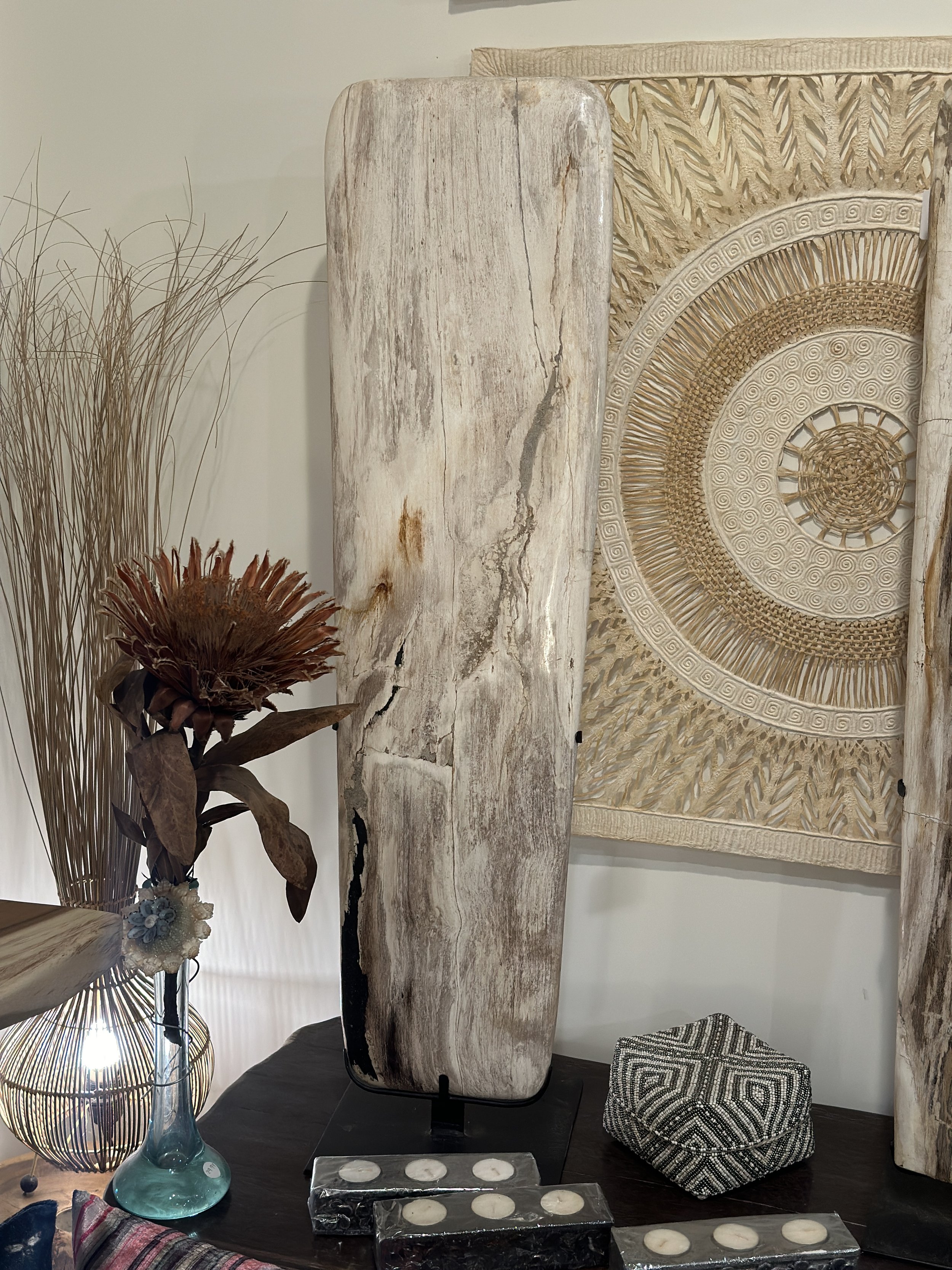 Petrified "Surfboard" on Stand