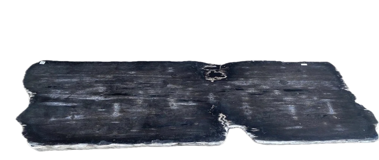 Black+and+White+Petrified+SLab copy.png