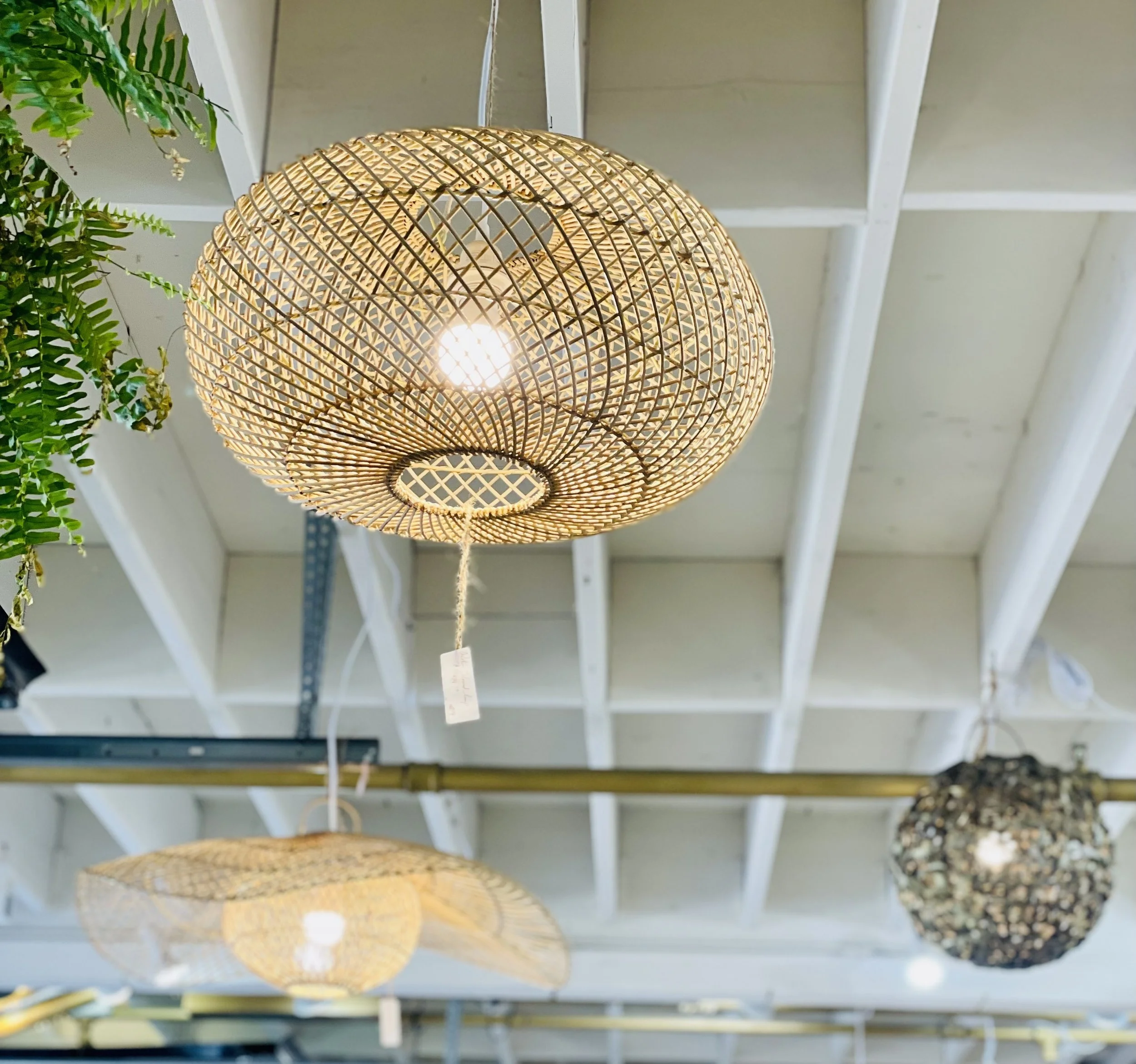 Decorative woven ceiling lights with fern plant