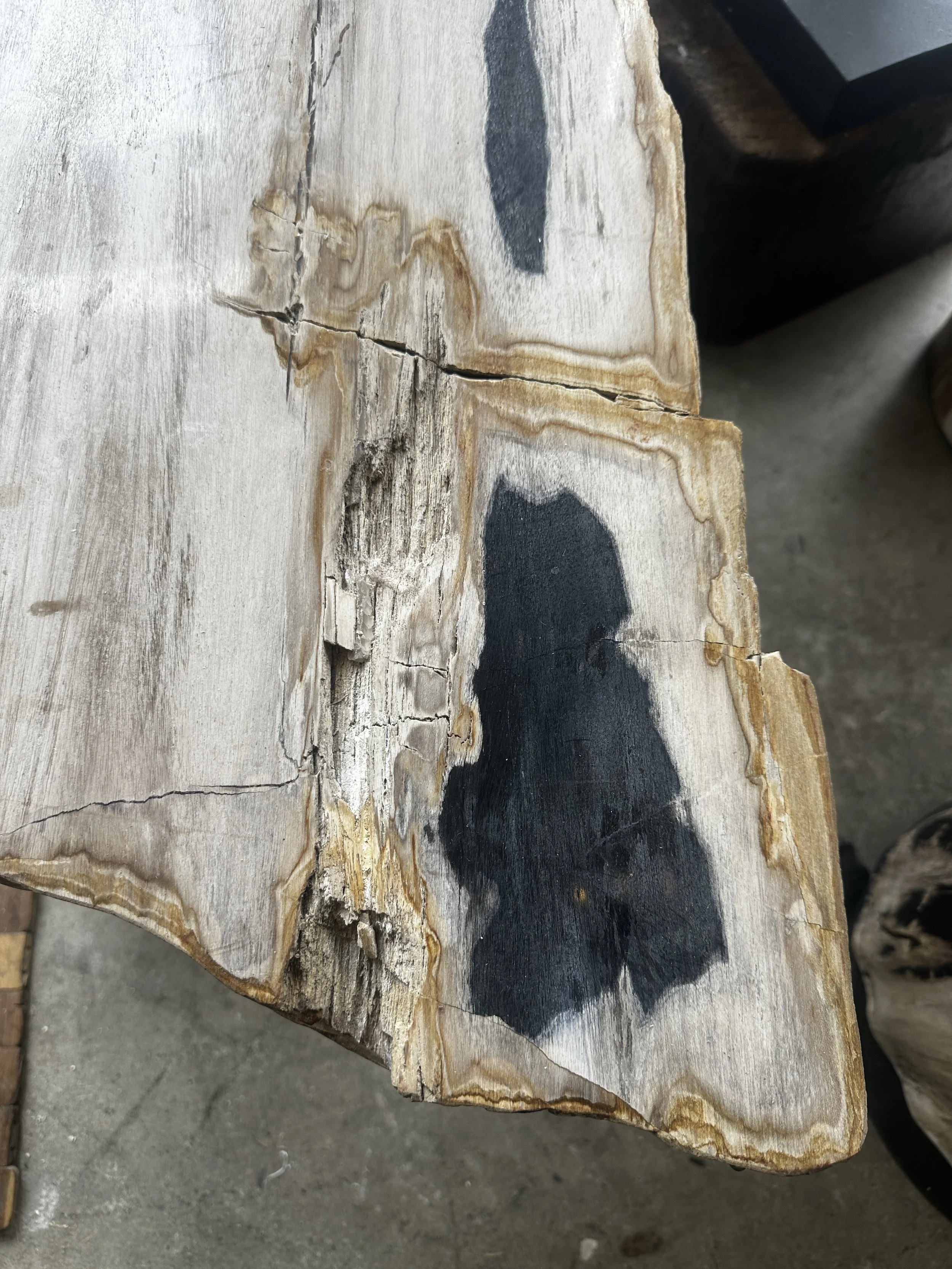 Modern Petrified Coffee table on matte black base.JPG