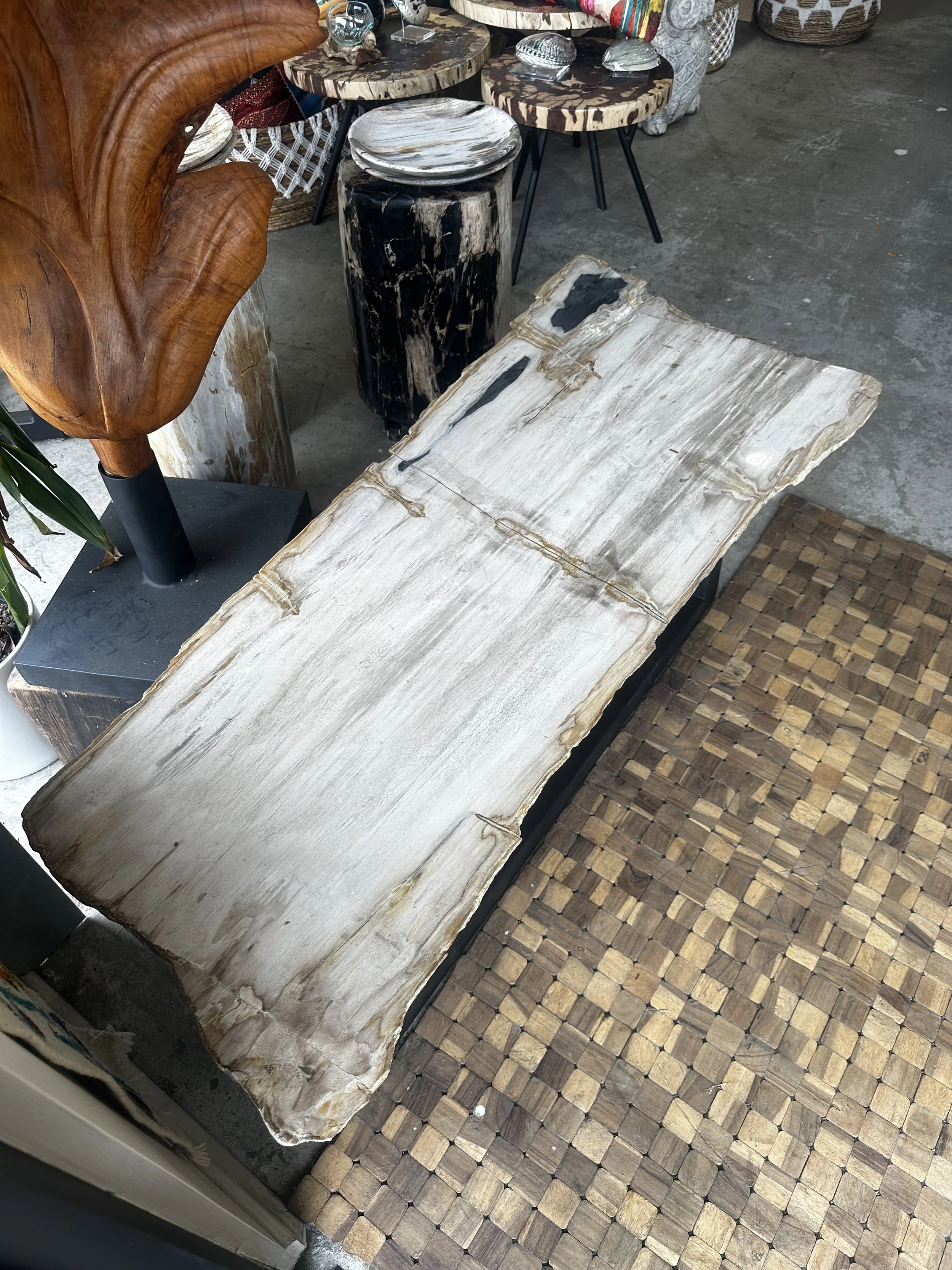 other view of petrified coffee table.JPG