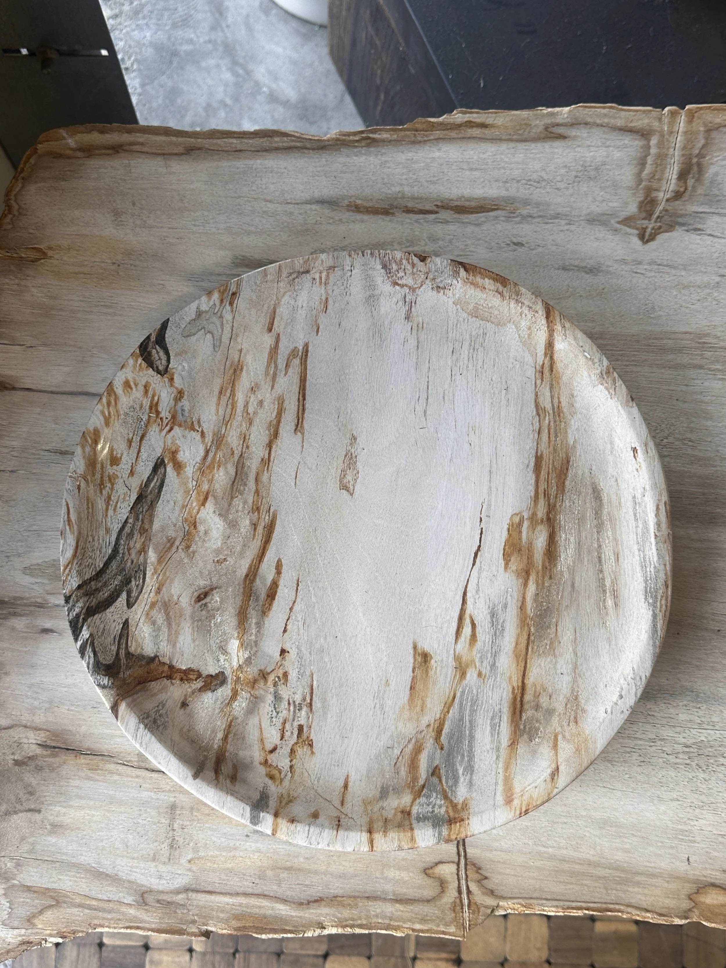gold vein petrified plate.JPG