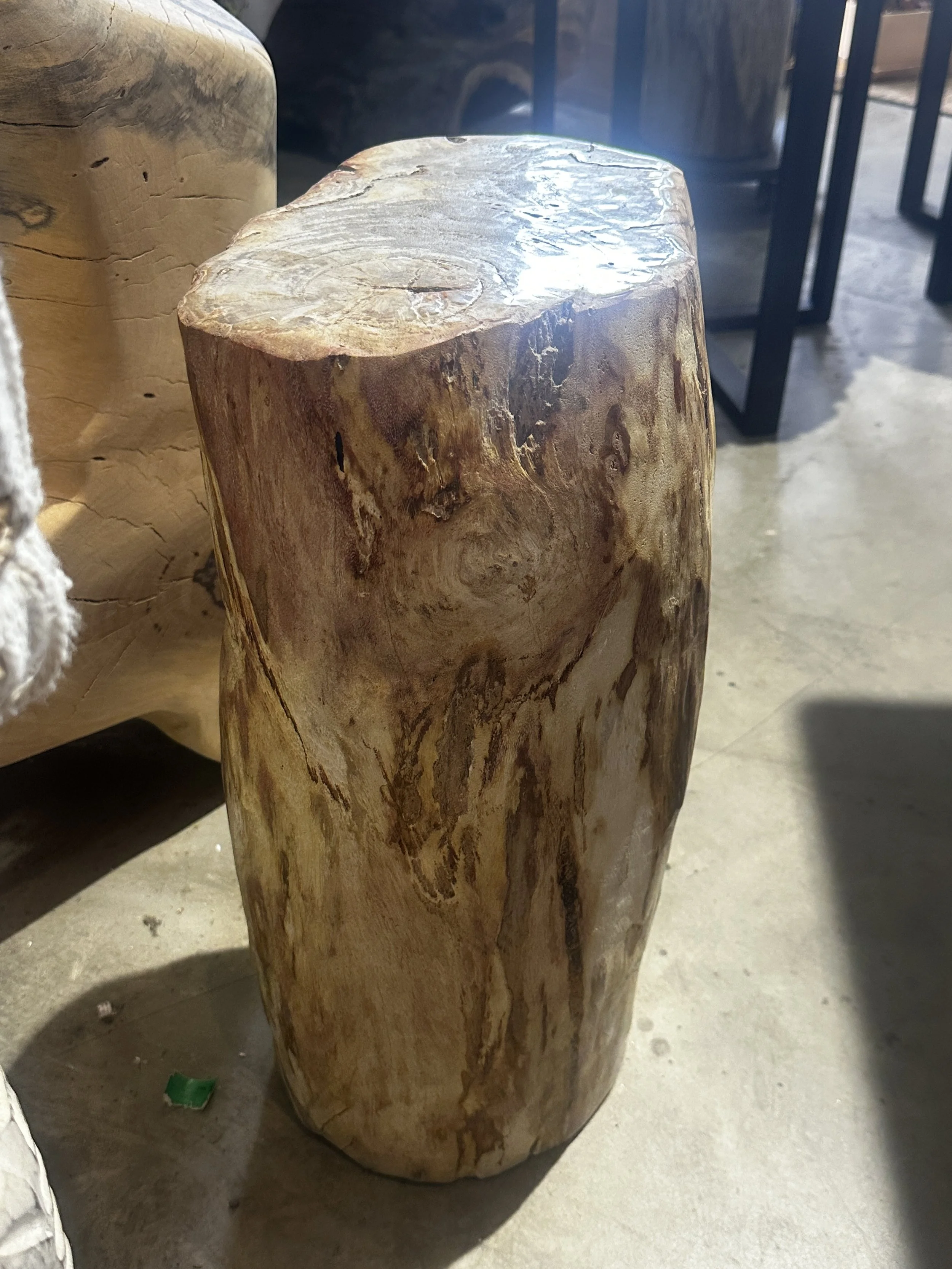 petrified stump coral tones.JPG