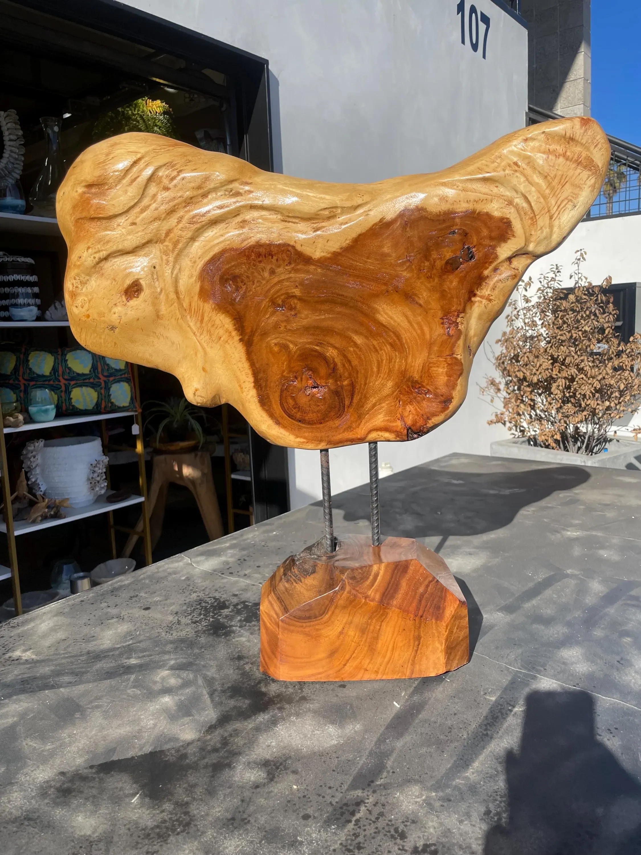 Abstract Acacia Sculpture