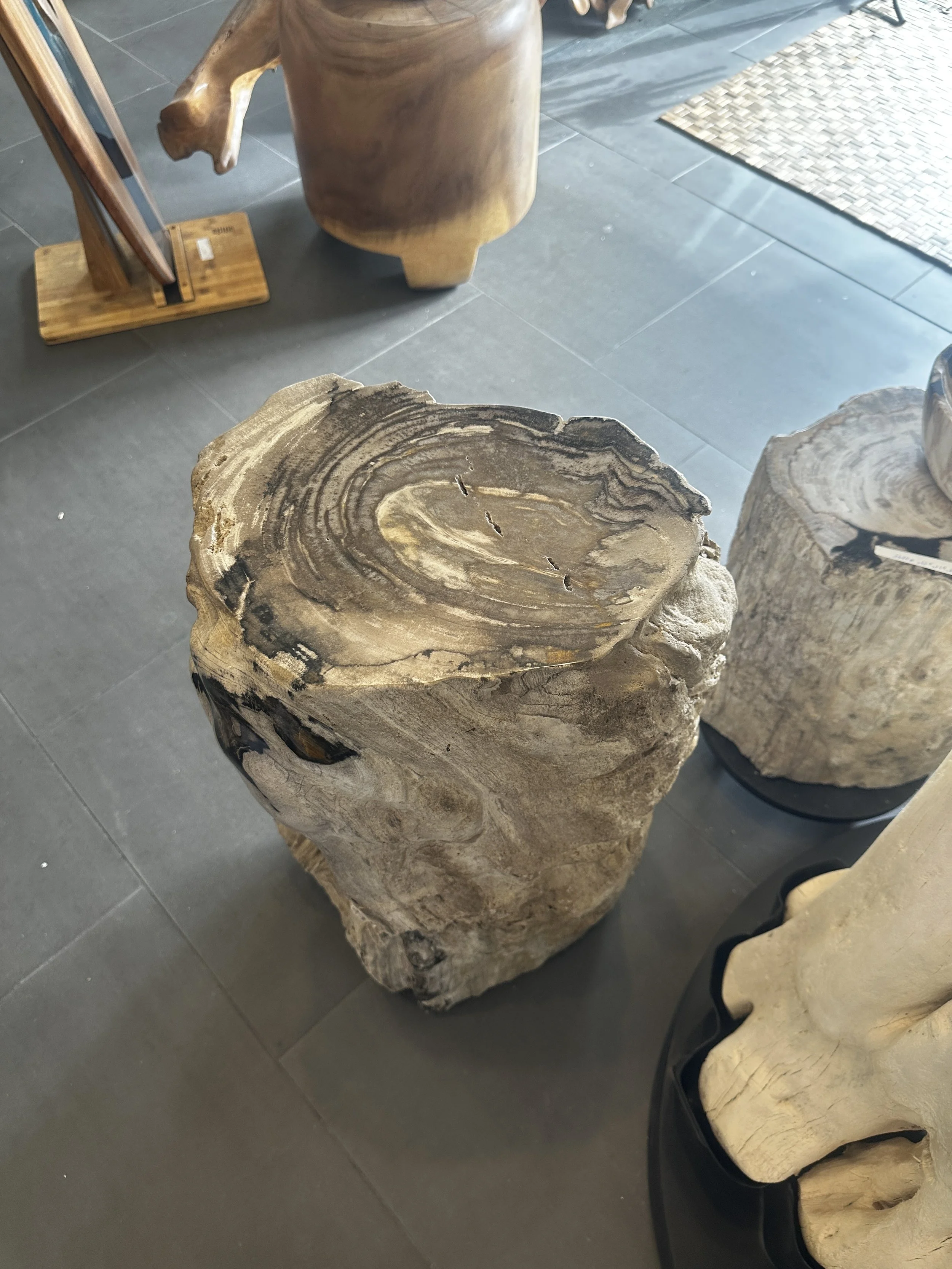Petrified wood pedestal.JPG