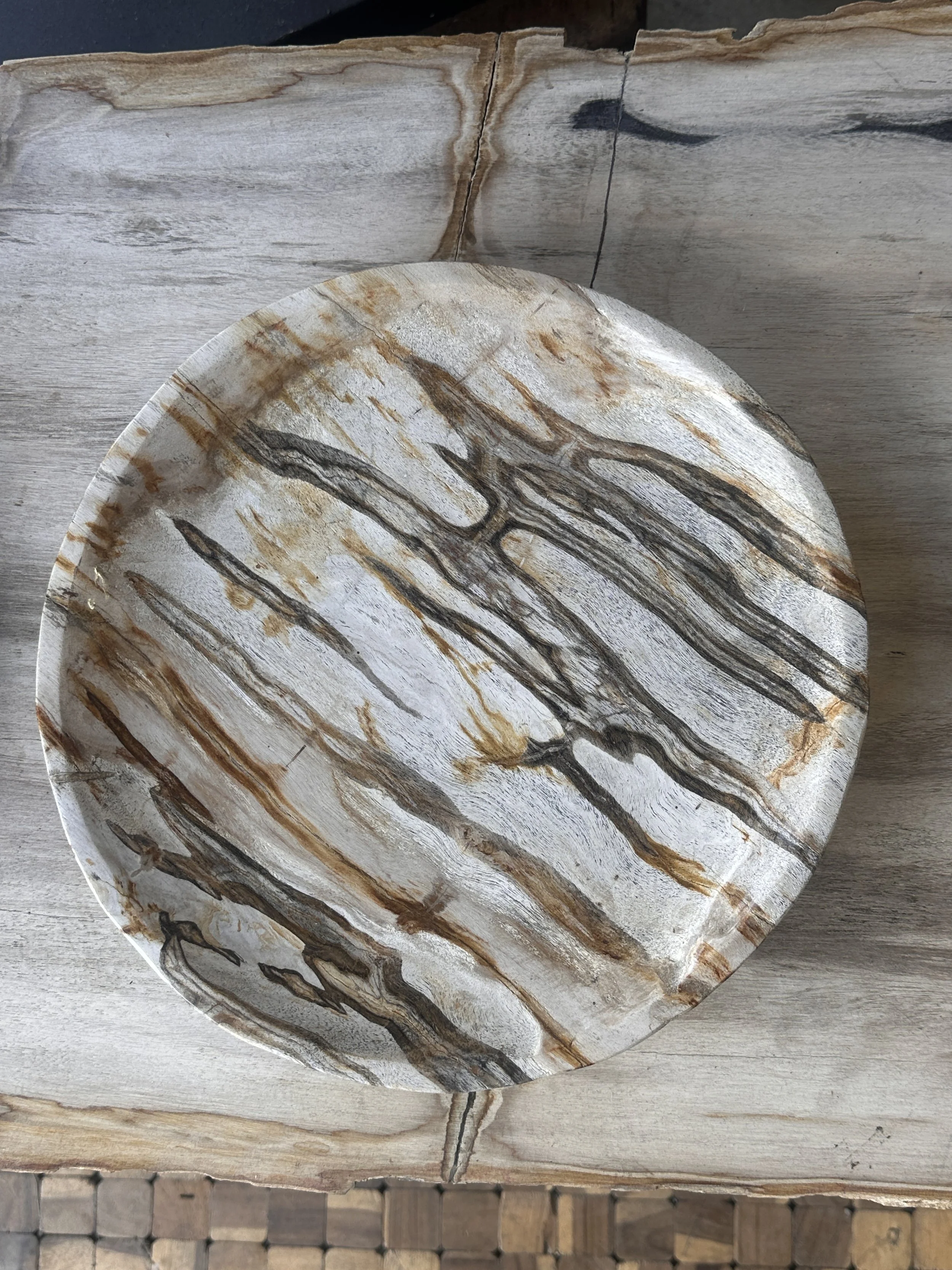 Petrified round plate .JPG