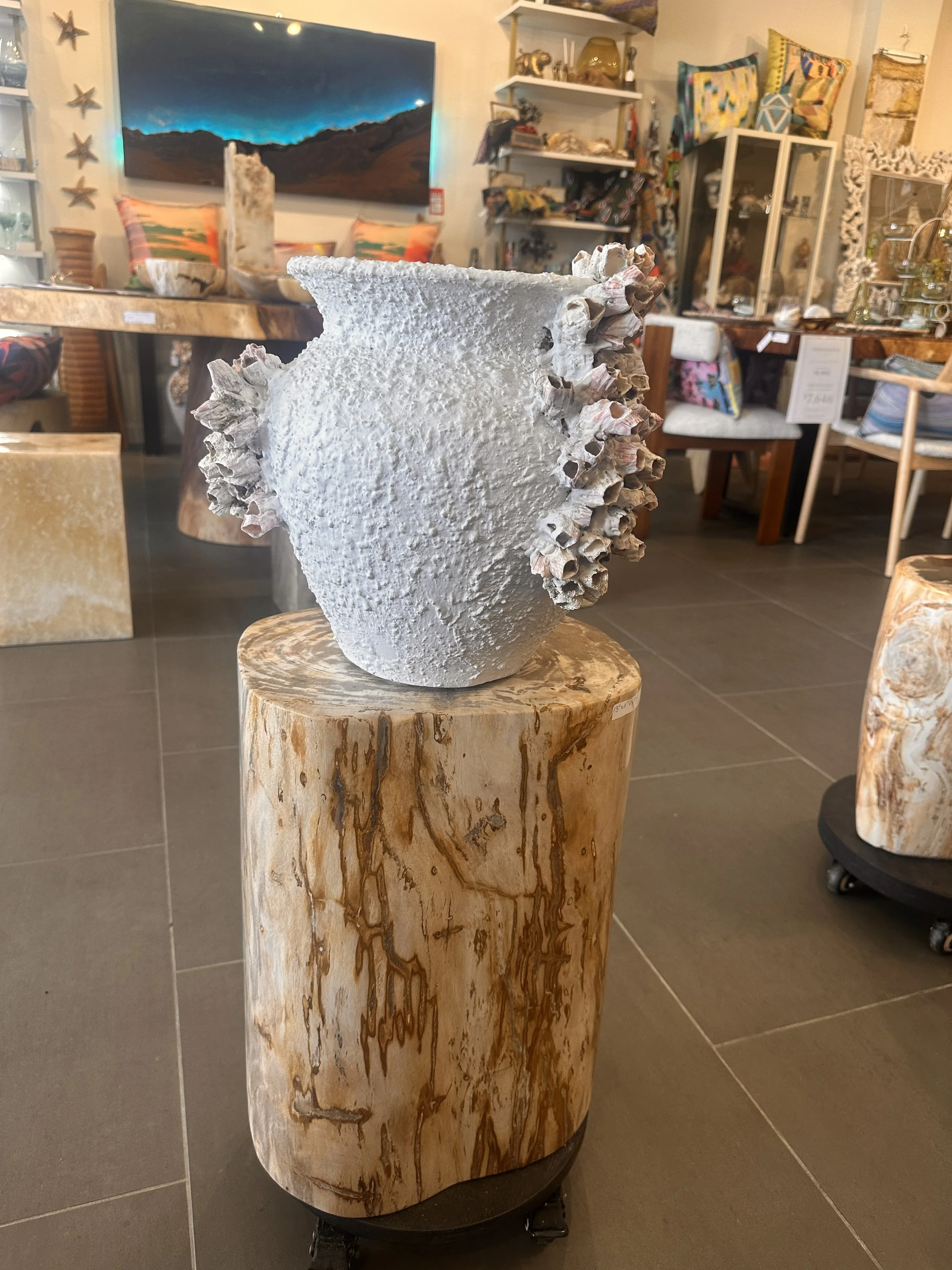 12" Tall Barnacle Pot