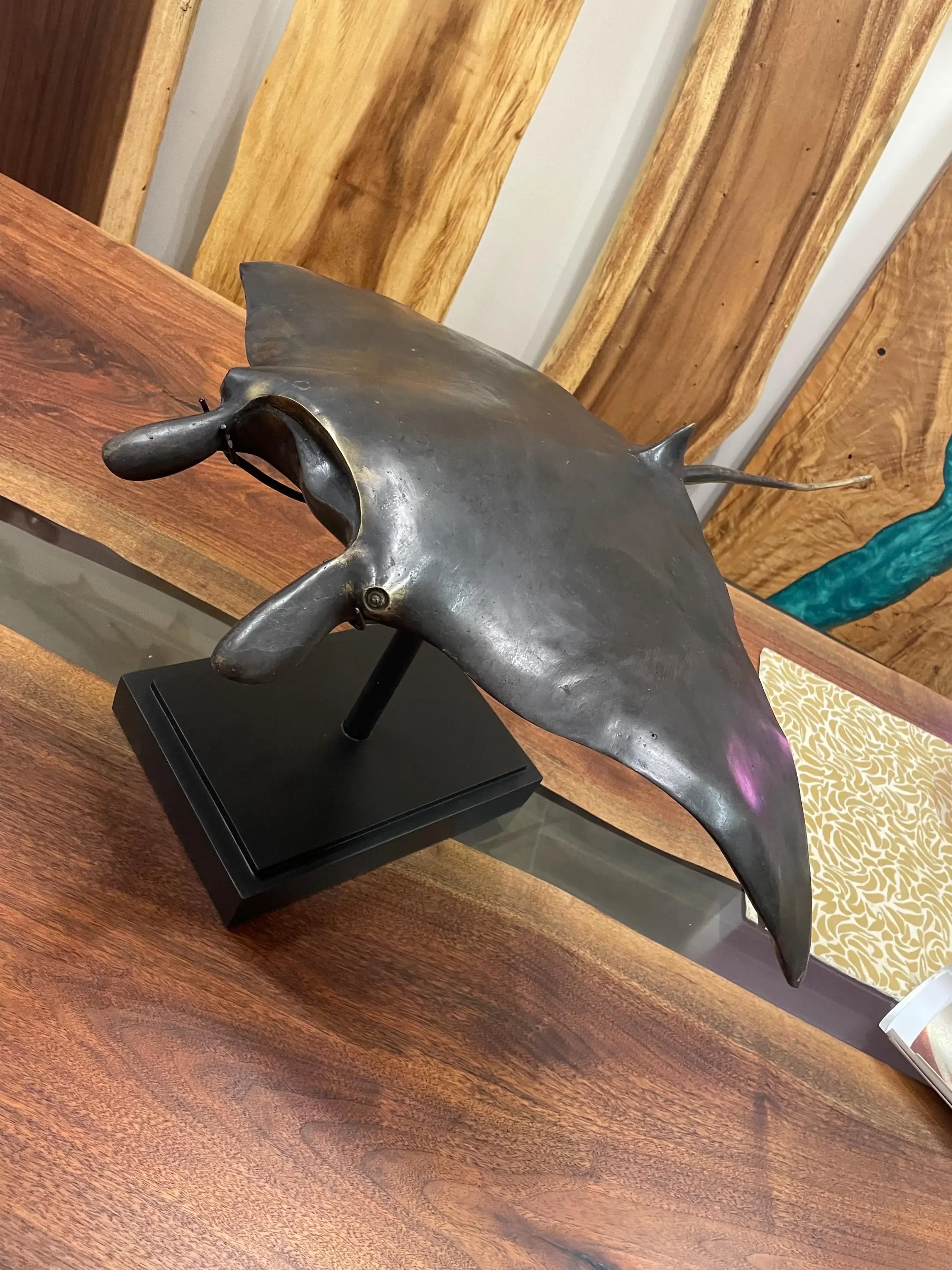 The bronze Mantaray.webp