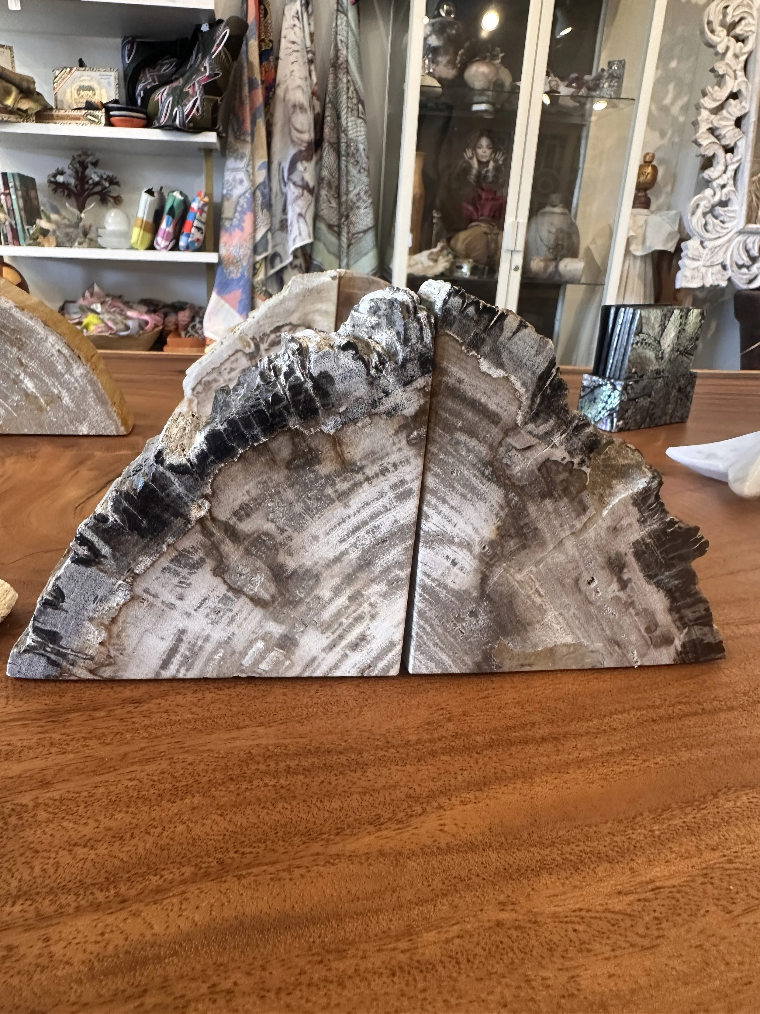 Petrified Book Ends