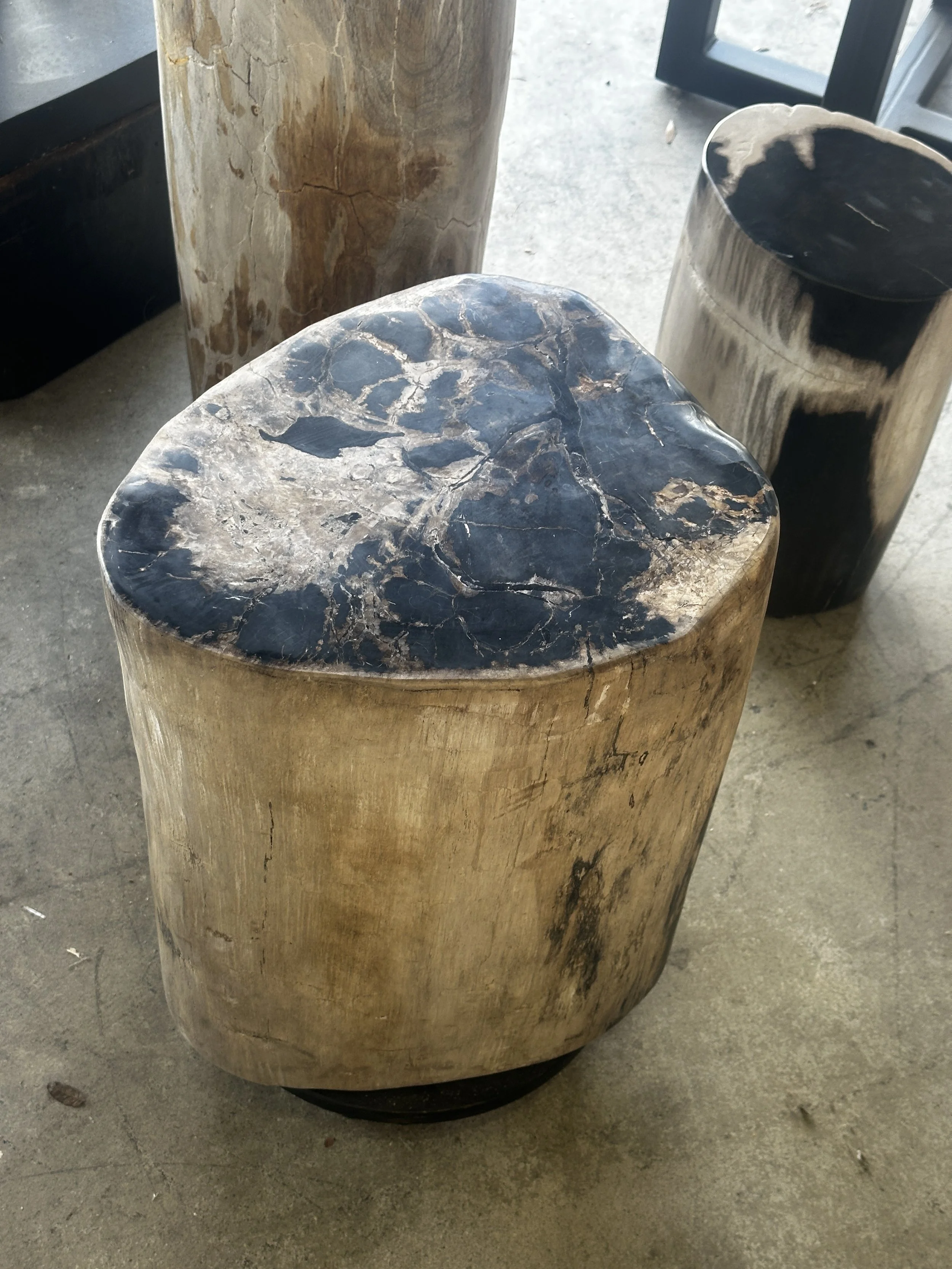 Custom black top petrified stump.JPG