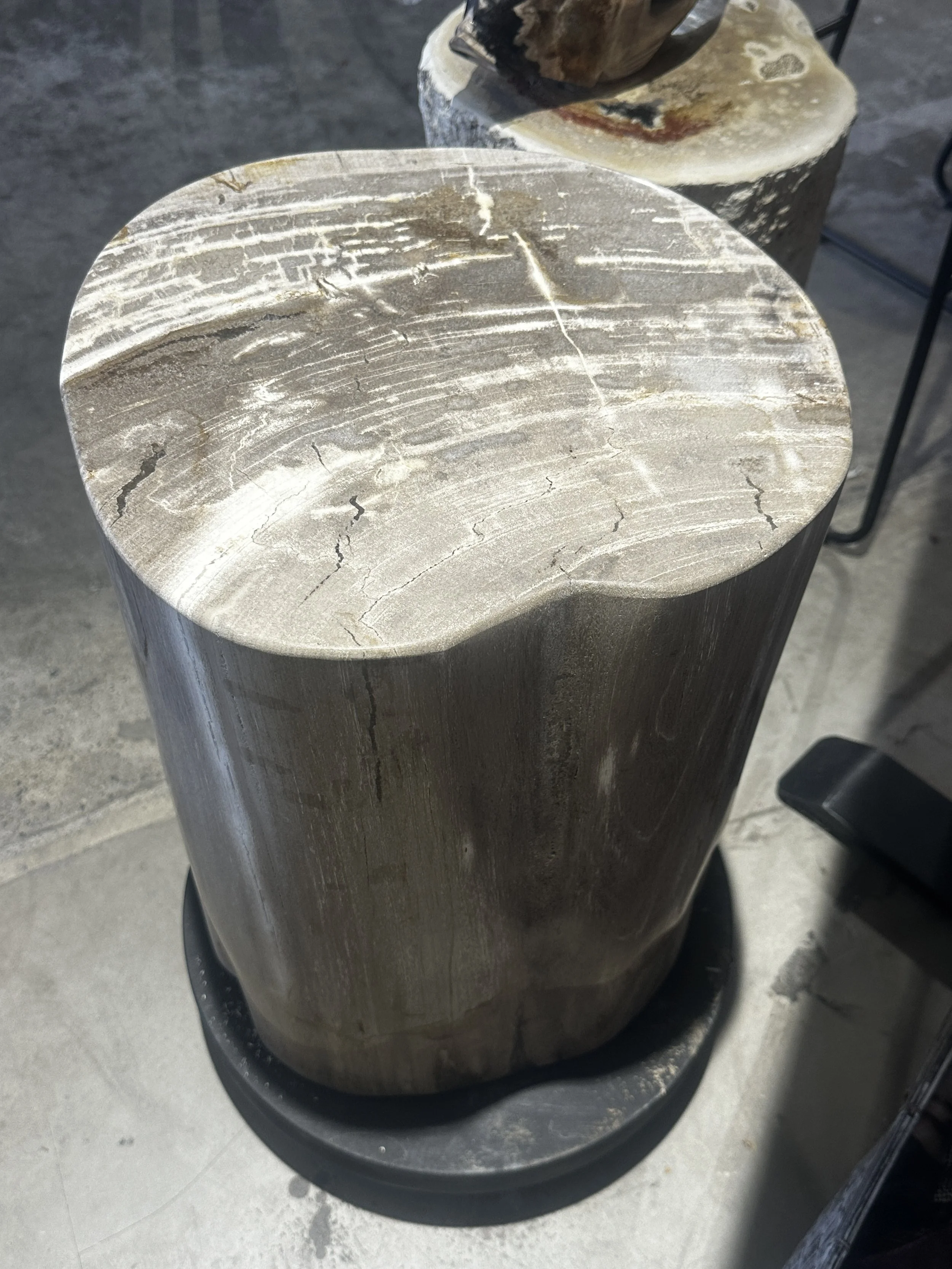 Beachy petrified stump.JPG