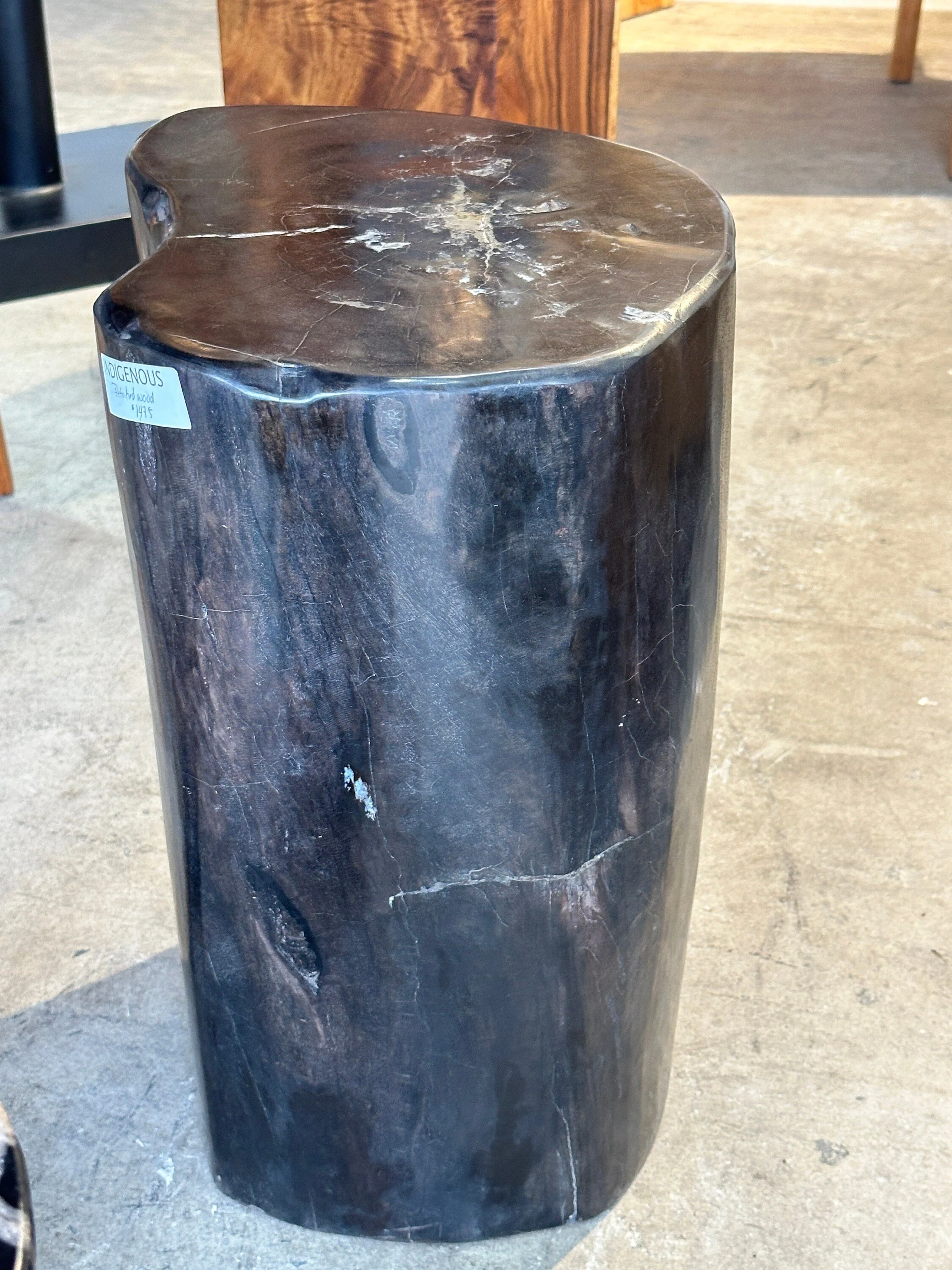 Black Petrified Stump - 19.5" Tall