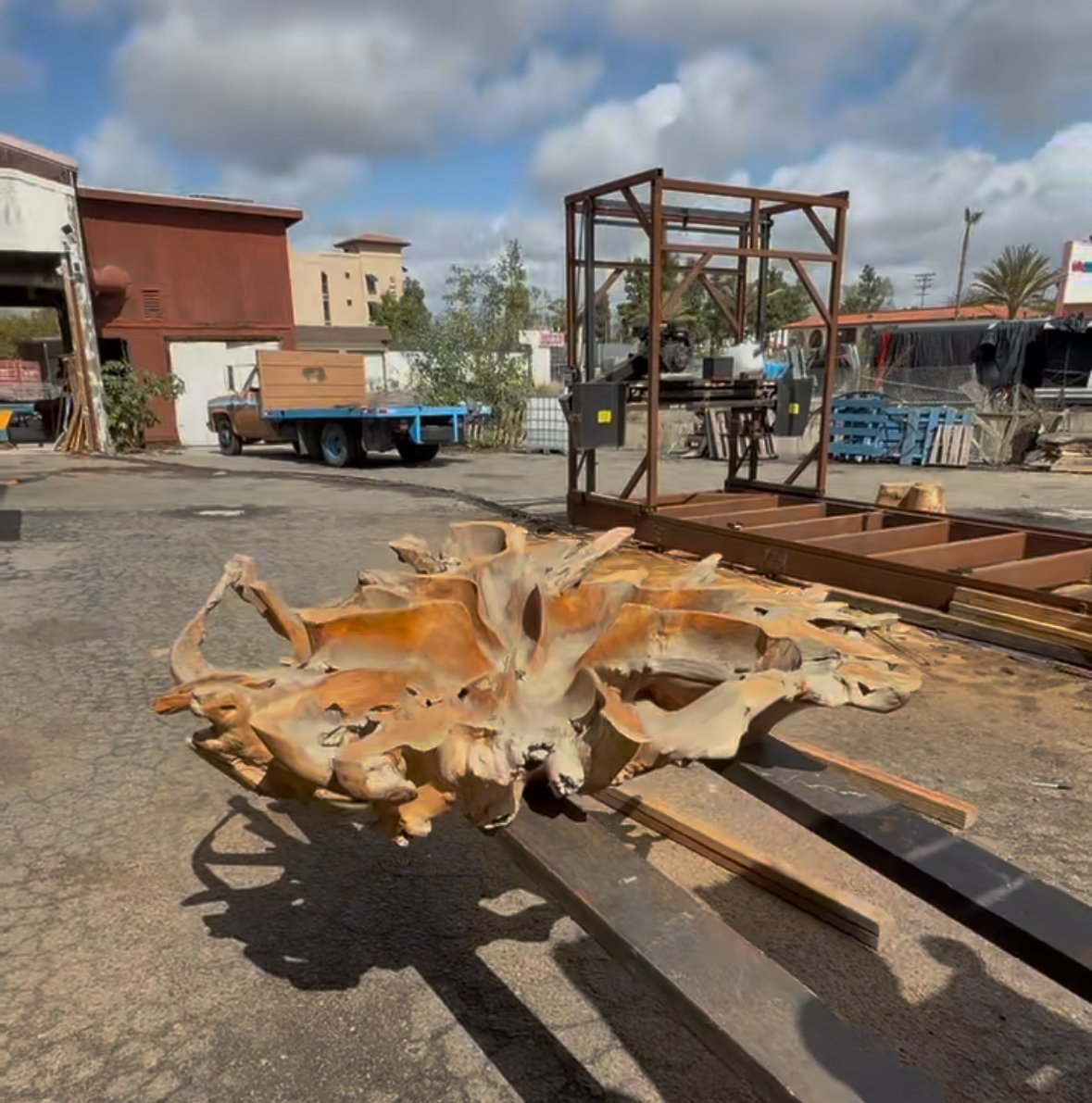 Organic Teak sculpture.jpg