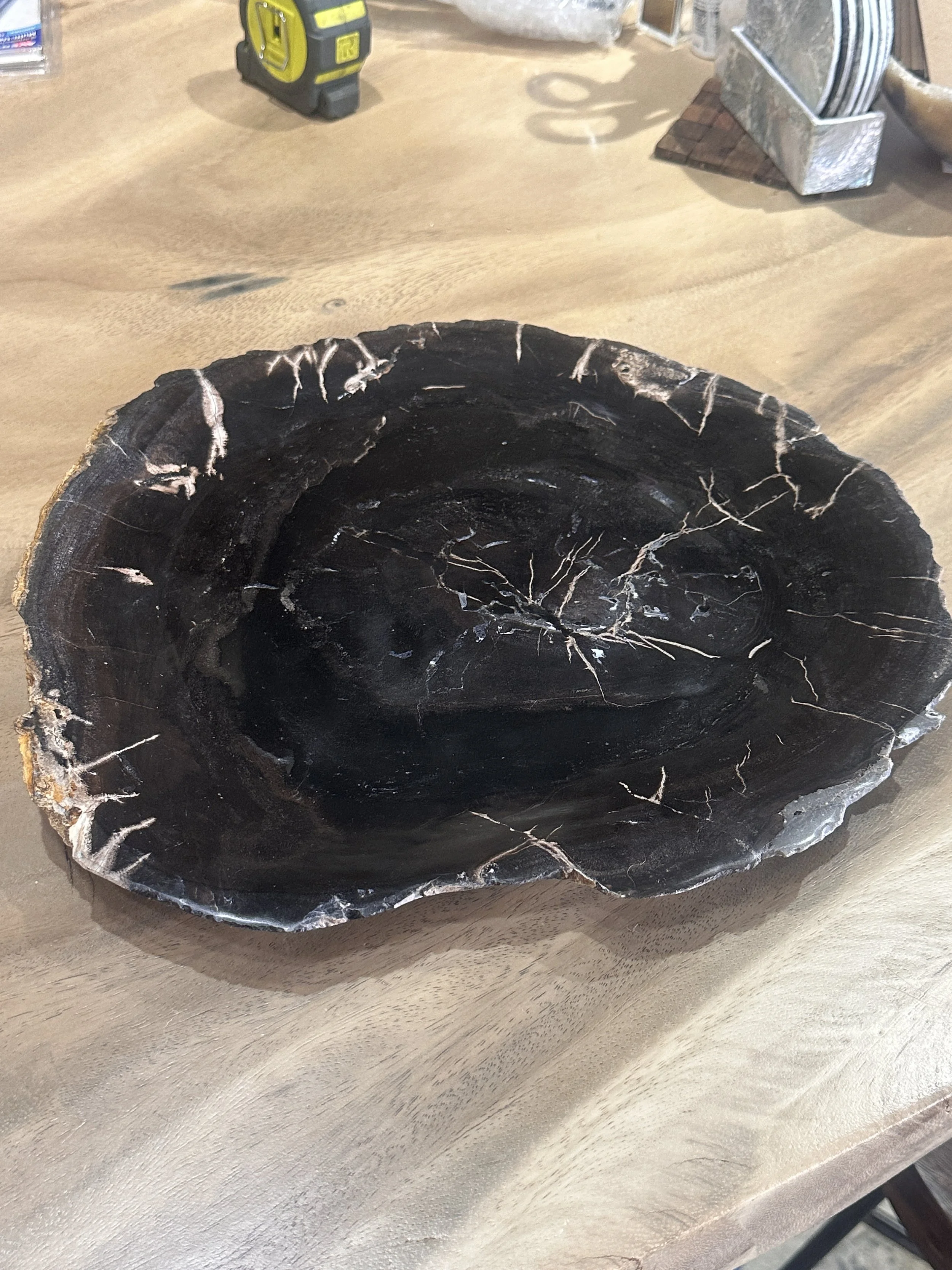 Black Petrified Plate.JPG