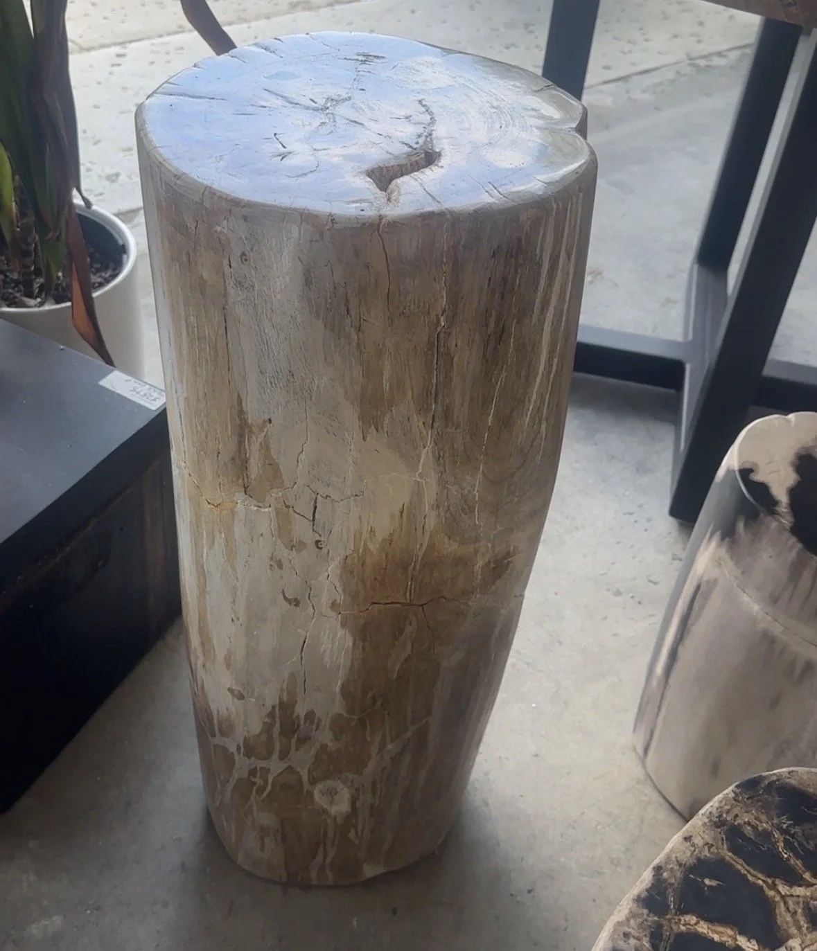 Neutral petrified pedestal.jpg