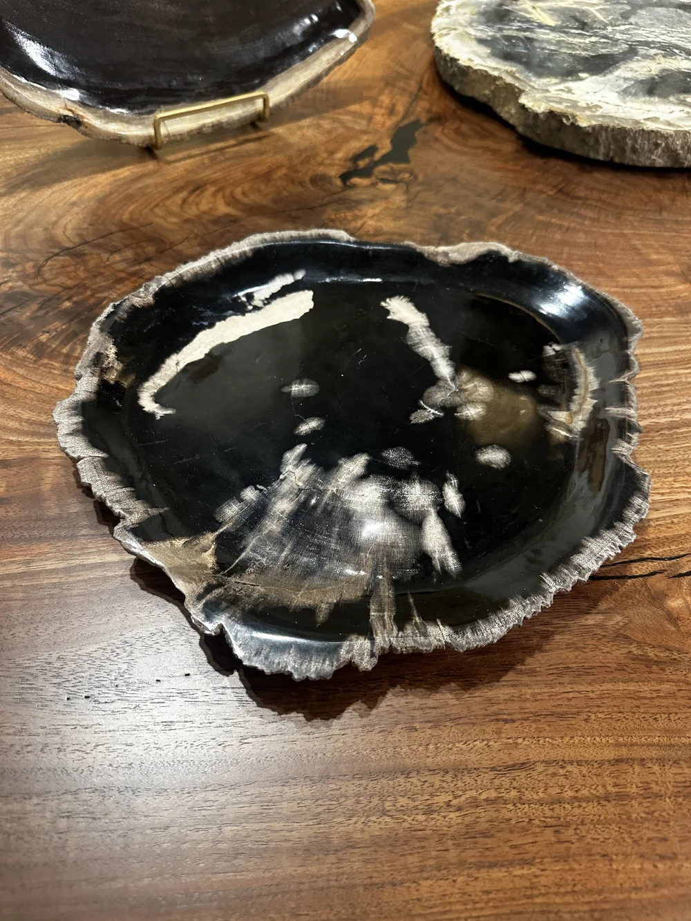 Petrified wood plate — INDIGENOUS by La Rue