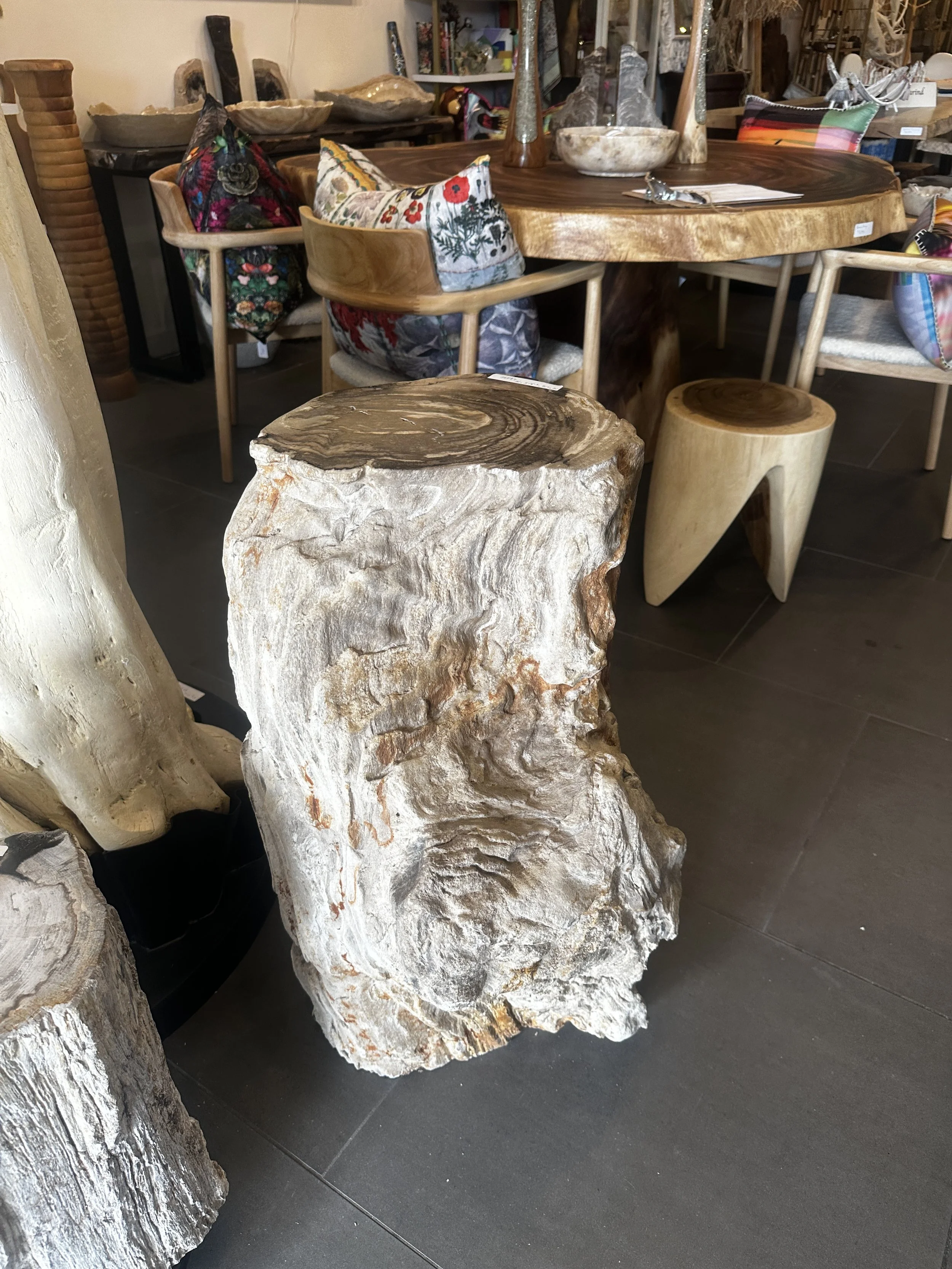 Petrified Pedestal organic sides.JPG