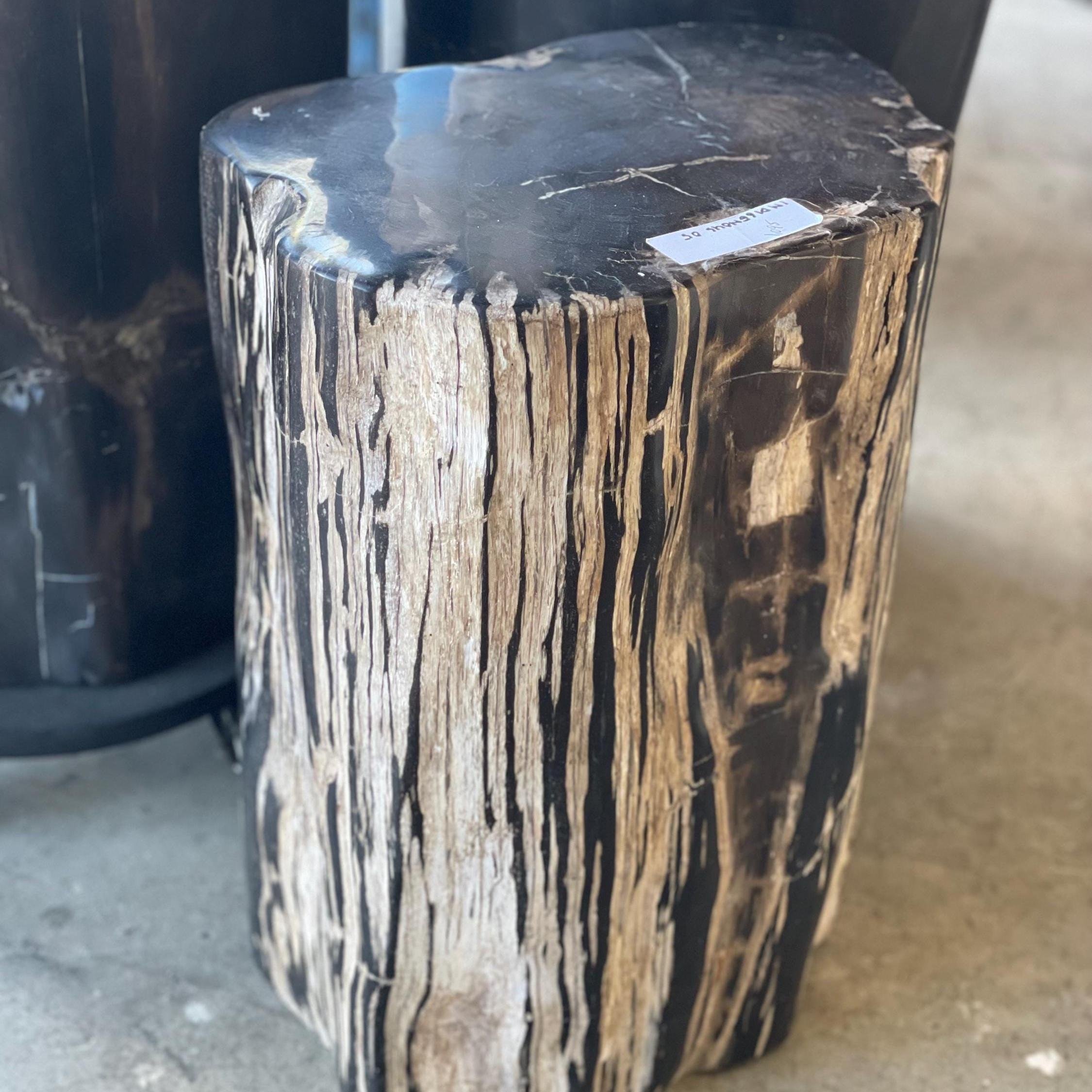 Zebra Petrified Stump.jpg