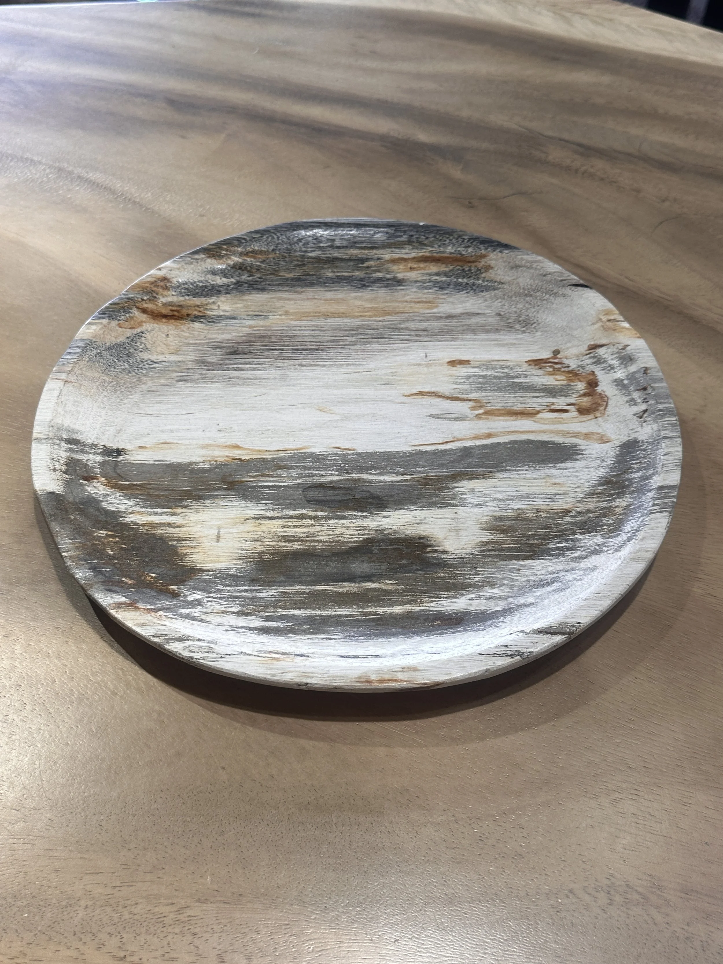 Black and gold veins on petrified plate.JPG