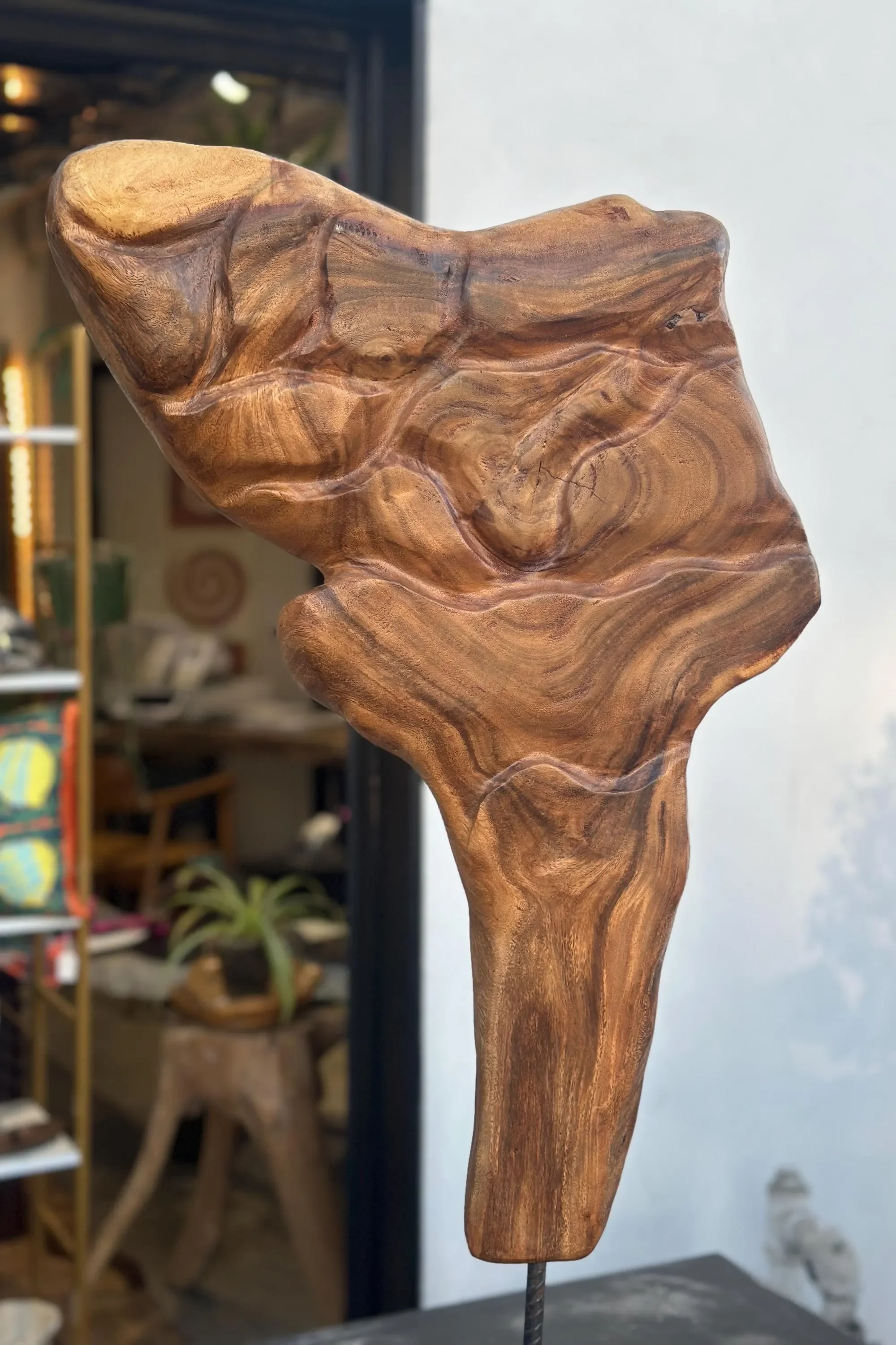 Hand Carved Acacia Sculpture