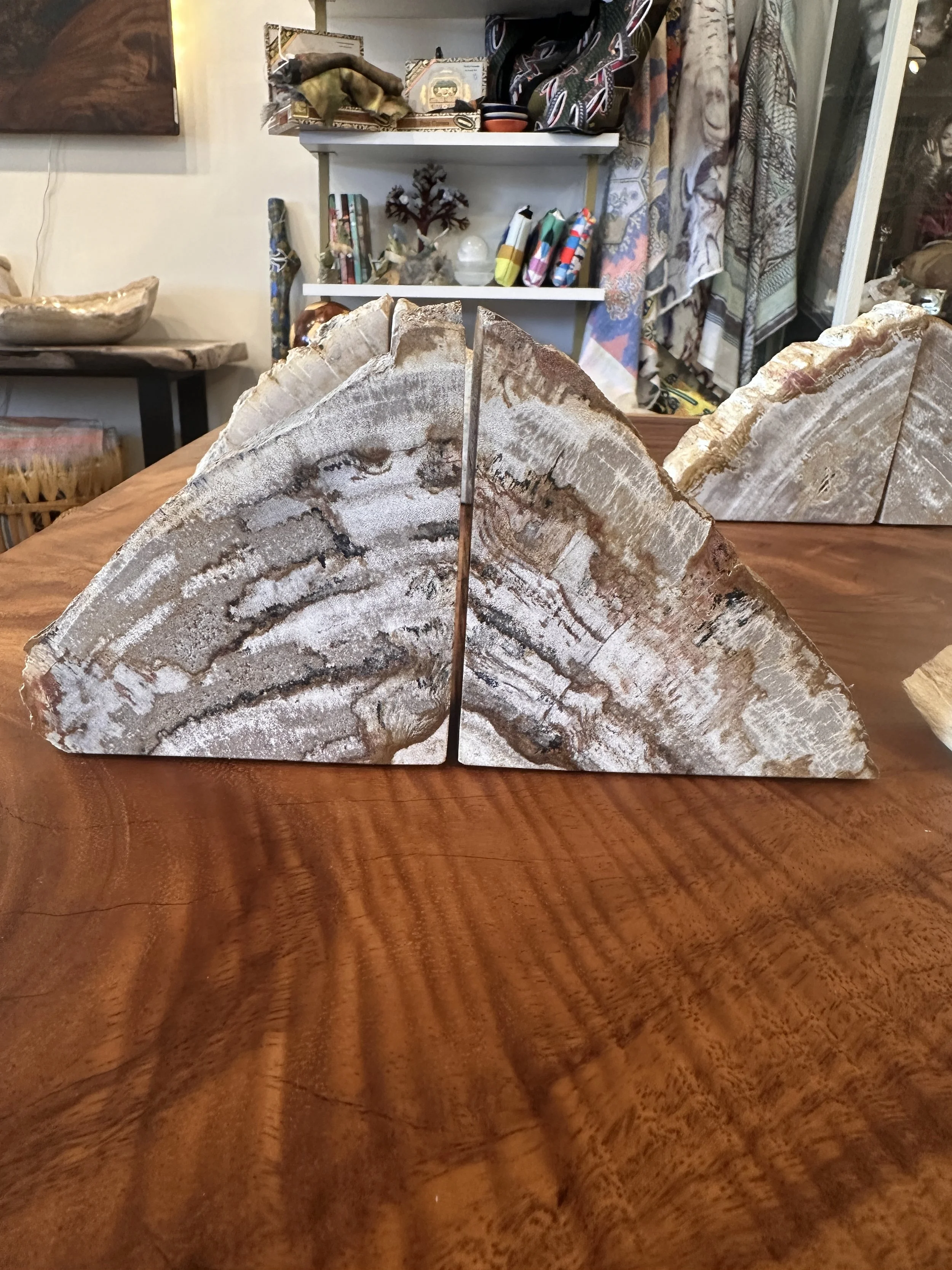 petrified bookends dark.JPG