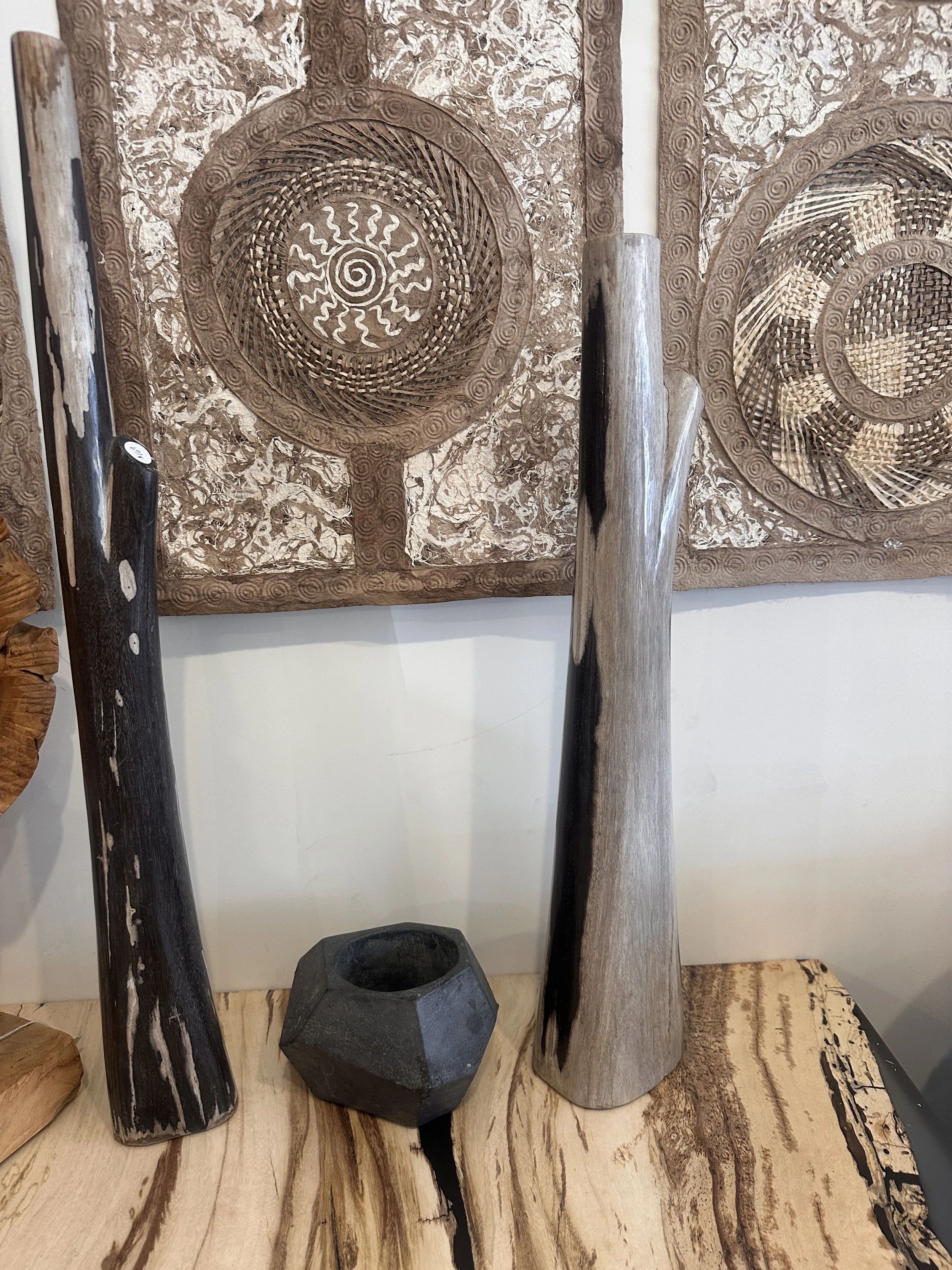 black and gray petrified branches.JPG