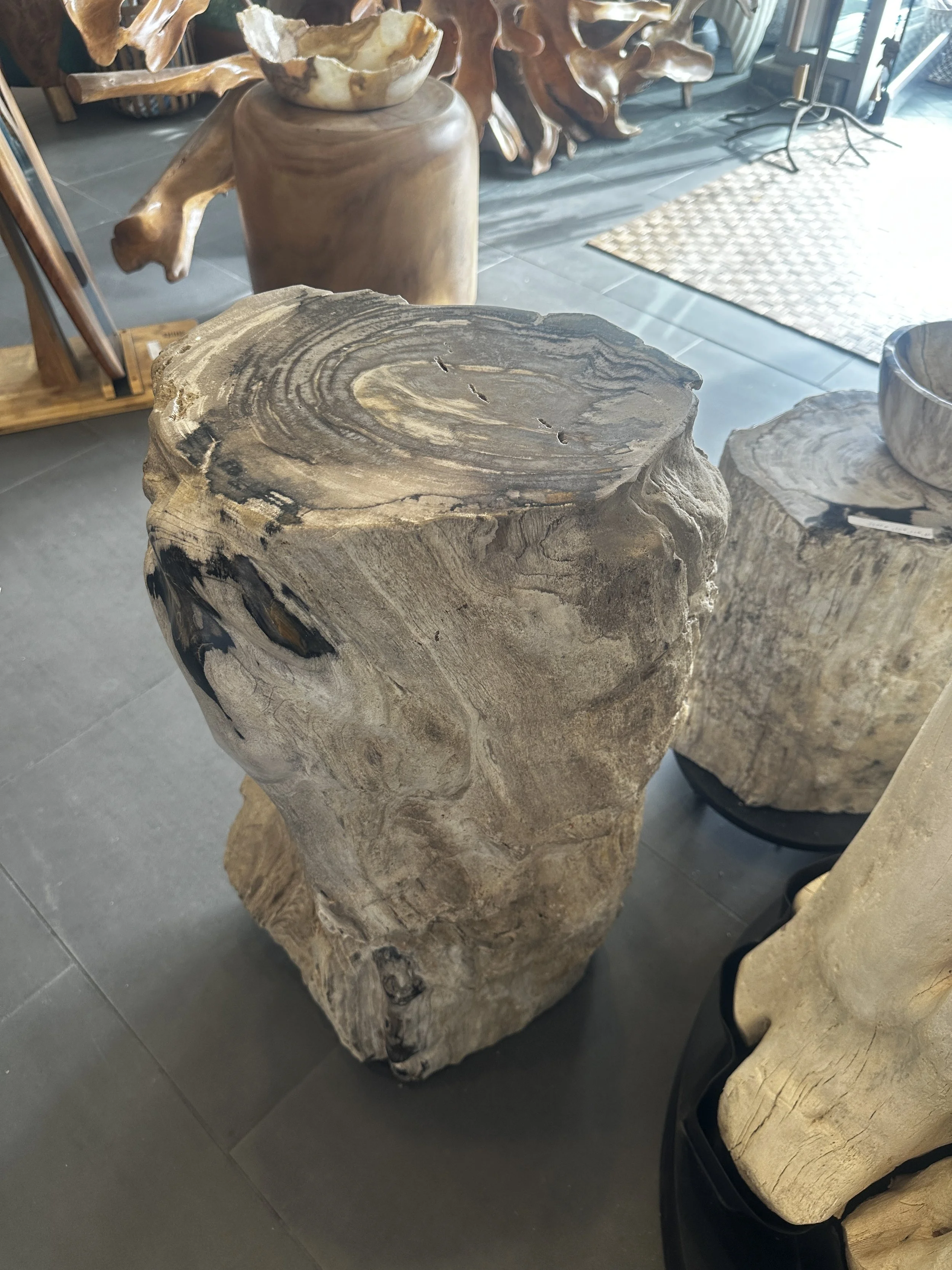 petrified pedestal.JPG