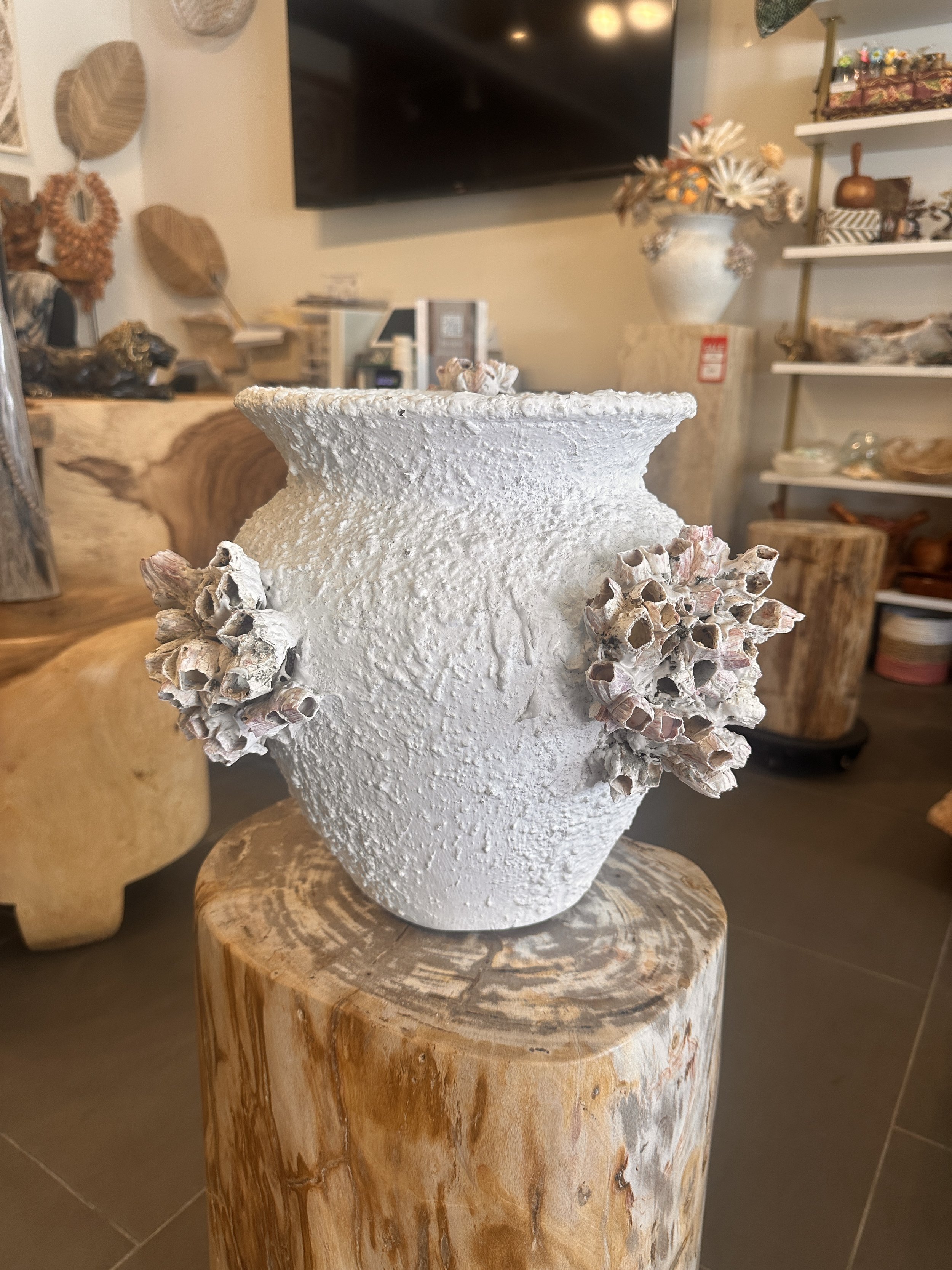 12 inch tall barnacle .JPG
