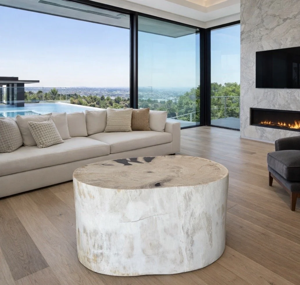 Large Petrified Stump / Coffee Table