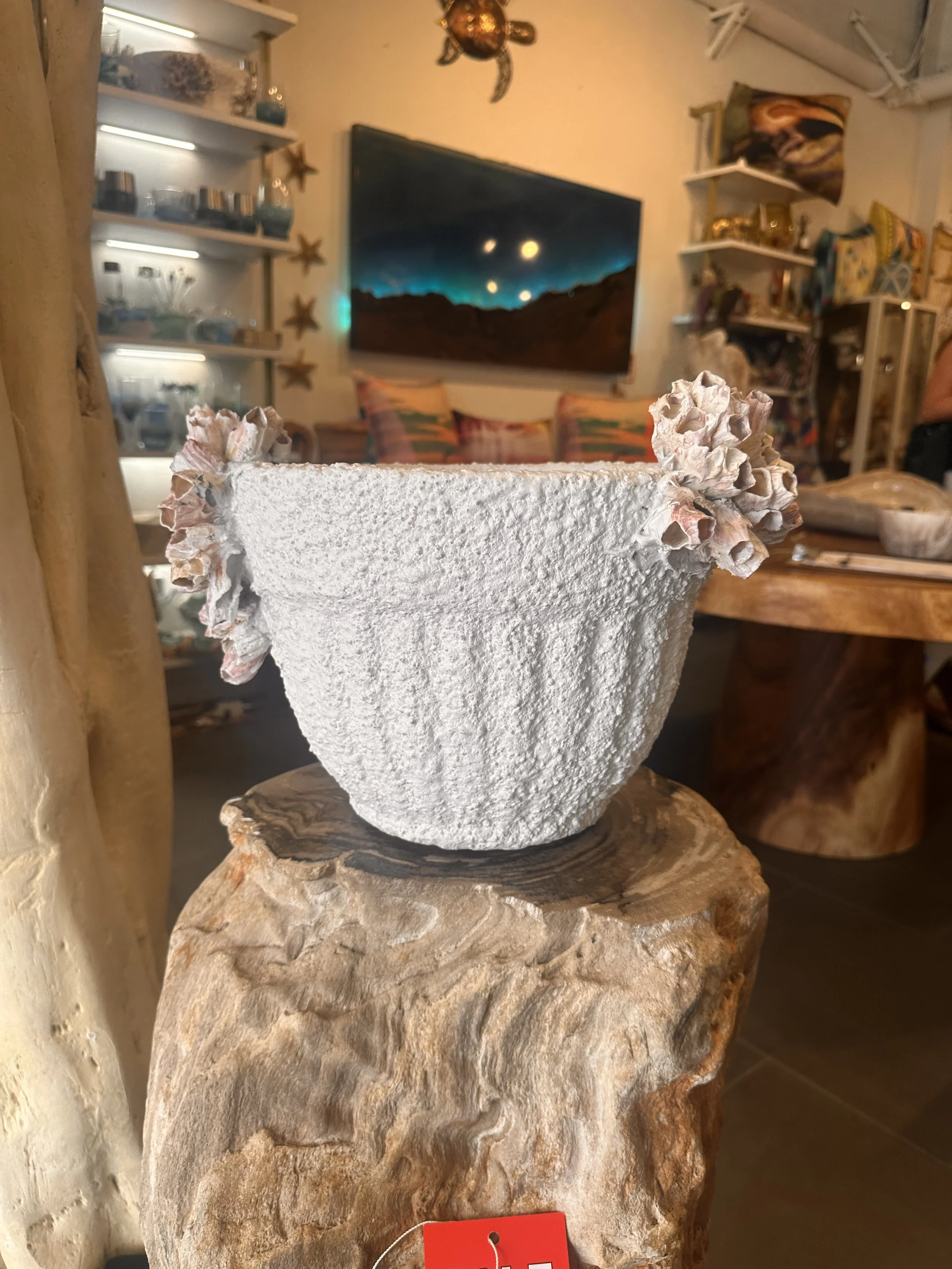 barnacle pottery 10 inch.JPG