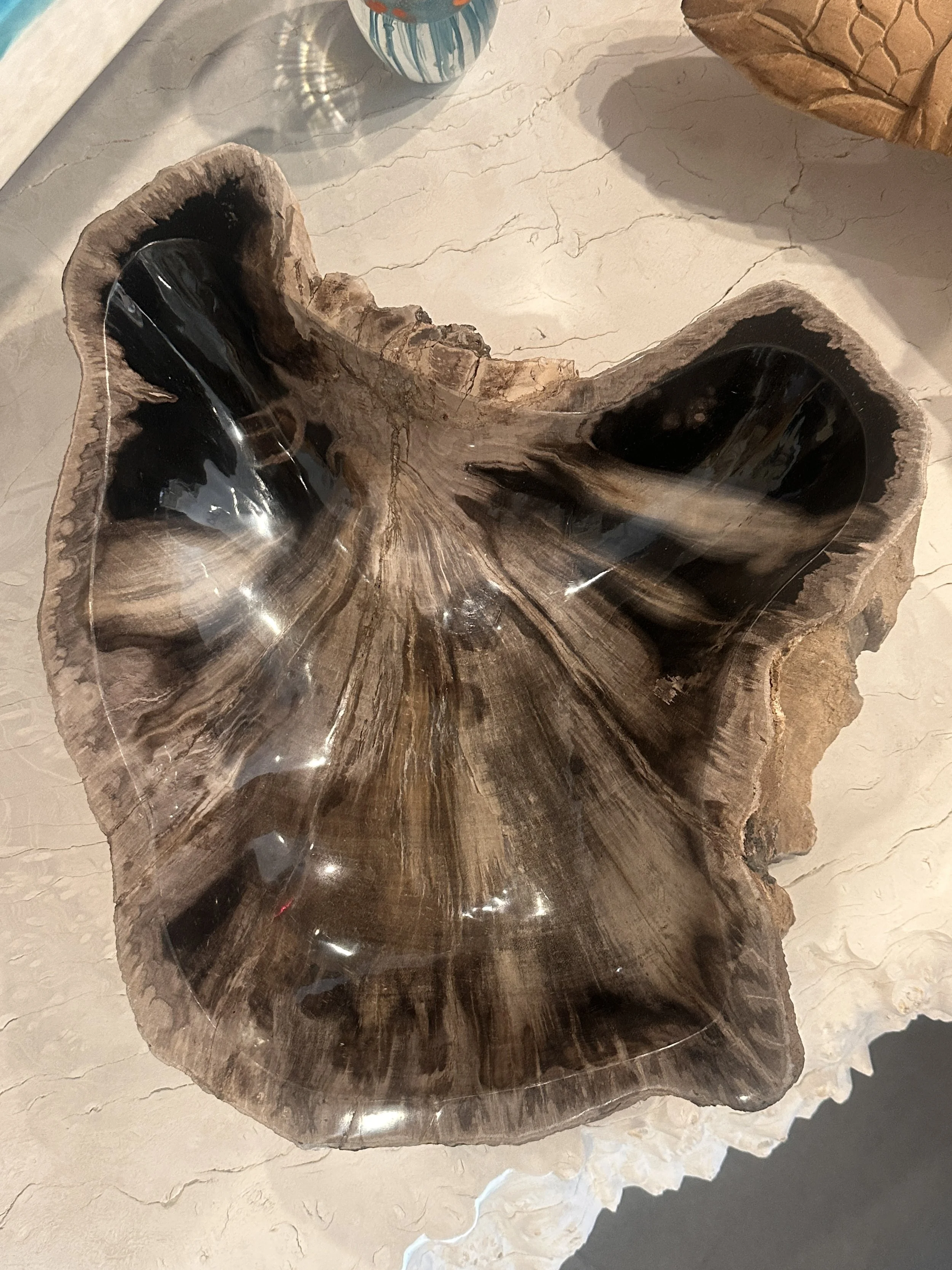 Organic petrified bowl.JPG