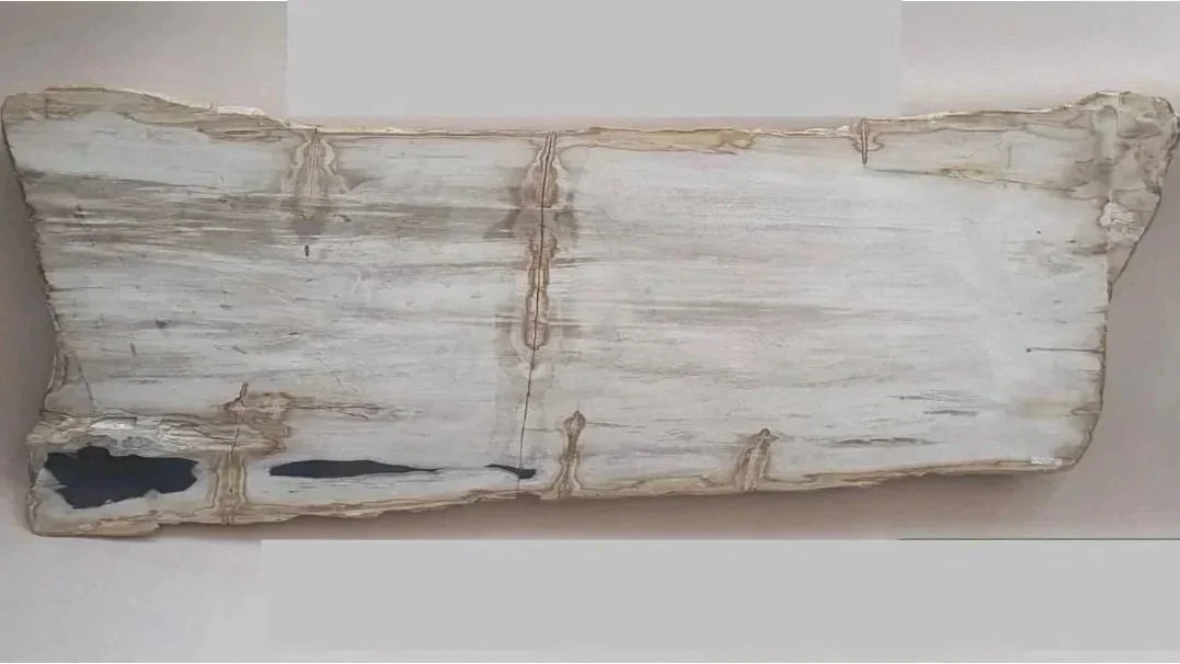 WHITE%252BPETRIFIED%252BCOFFEE%252BTABLE.jpg