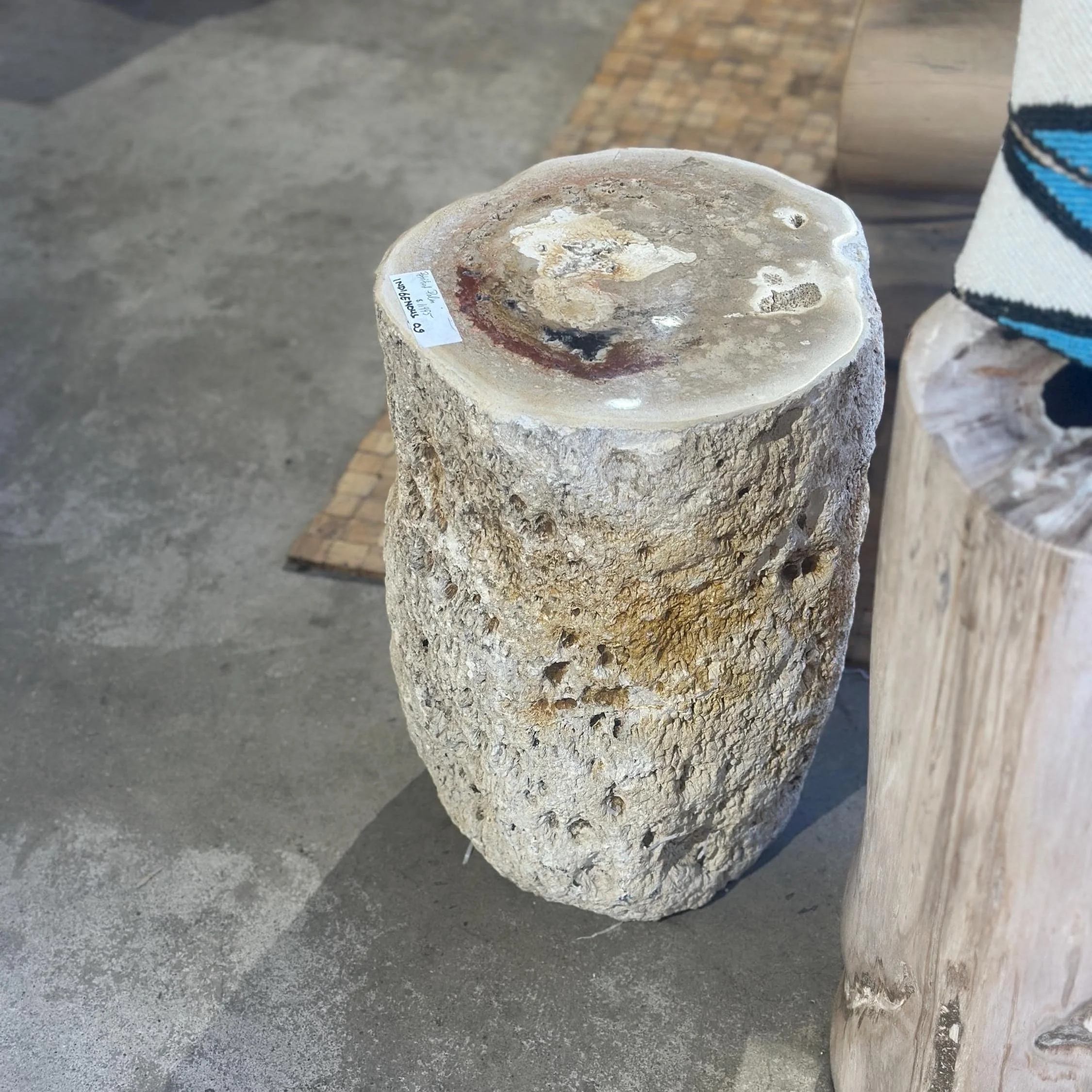 Petrified Palm Stump - 16 in tall Collector's Piece