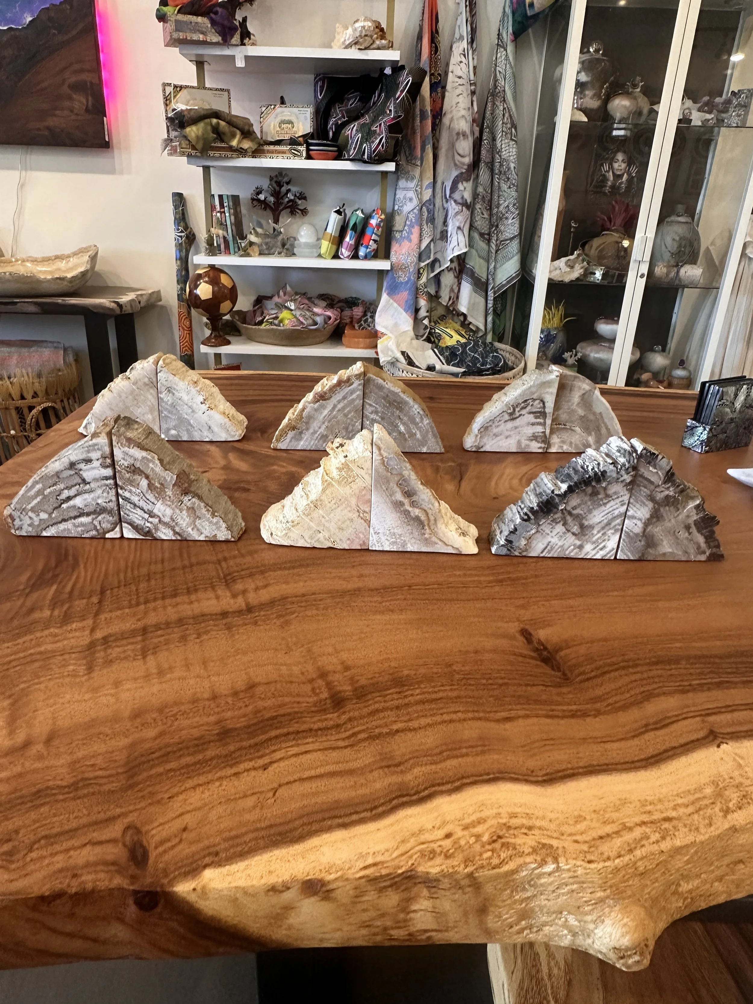 petrified bookends multiples.JPG