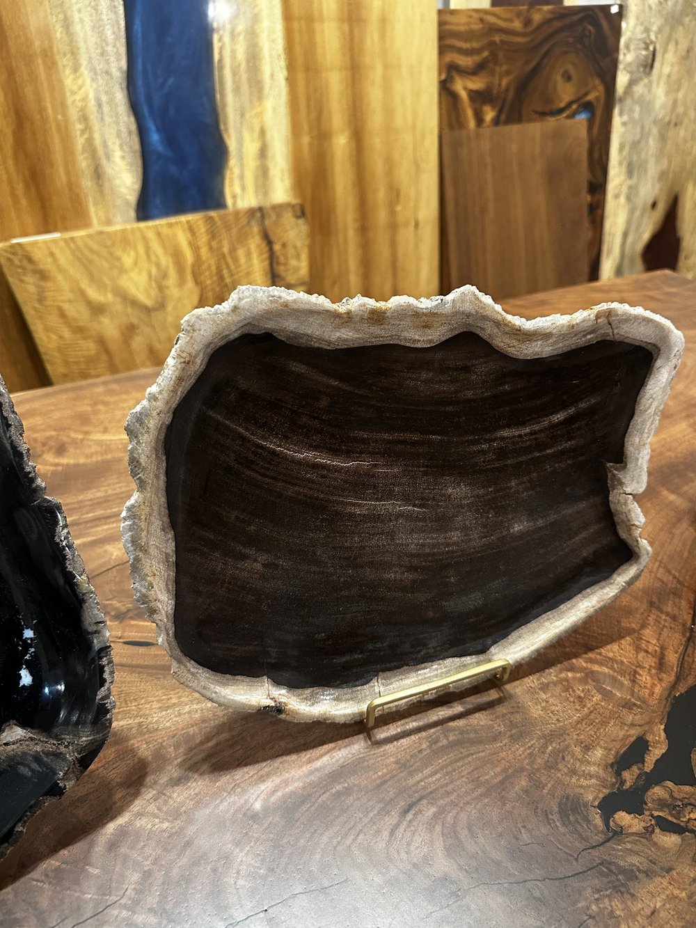Petrified wood plate — INDIGENOUS by La Rue