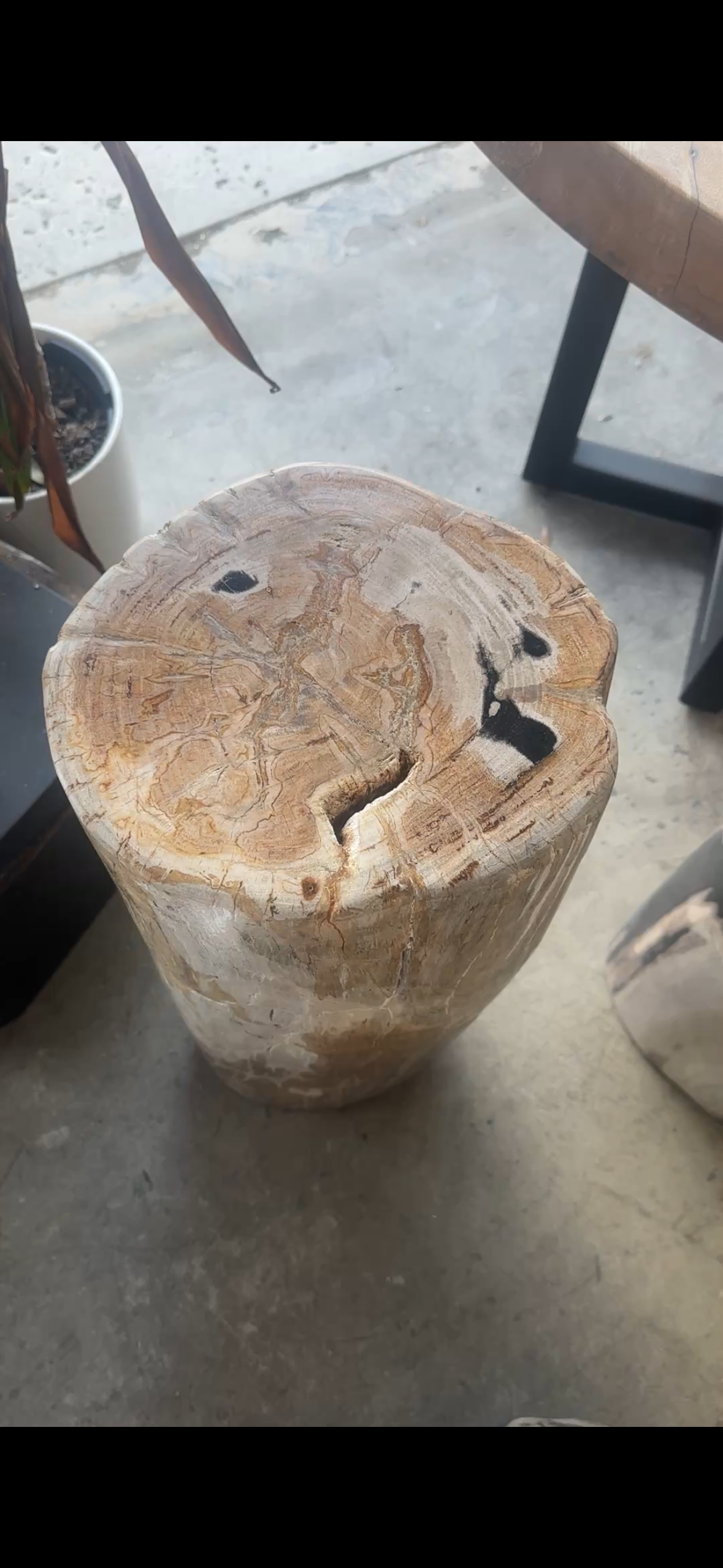 Petrified Pedestal in neutral.PNG