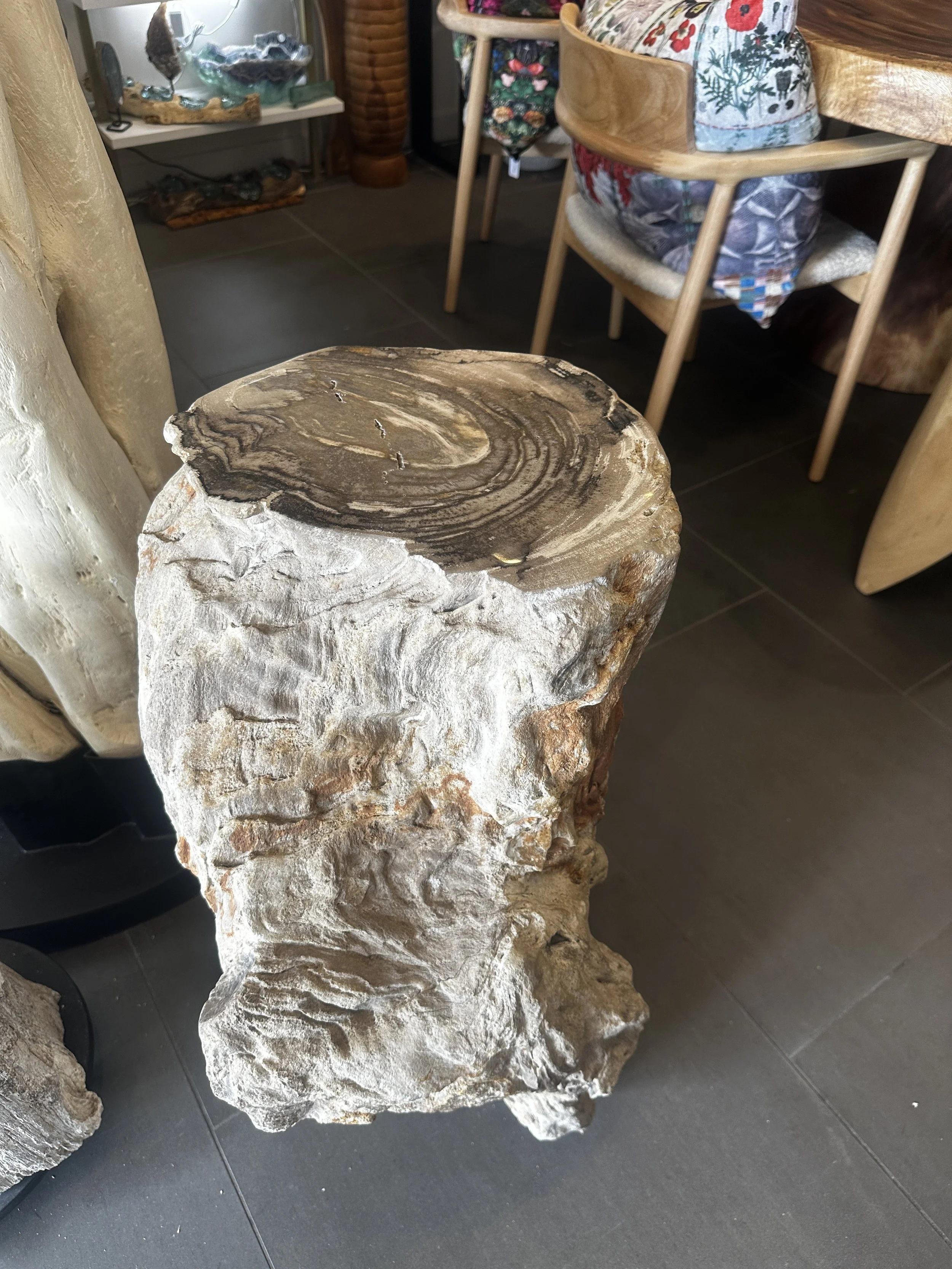 Petrified Pedestal smooth top.JPG