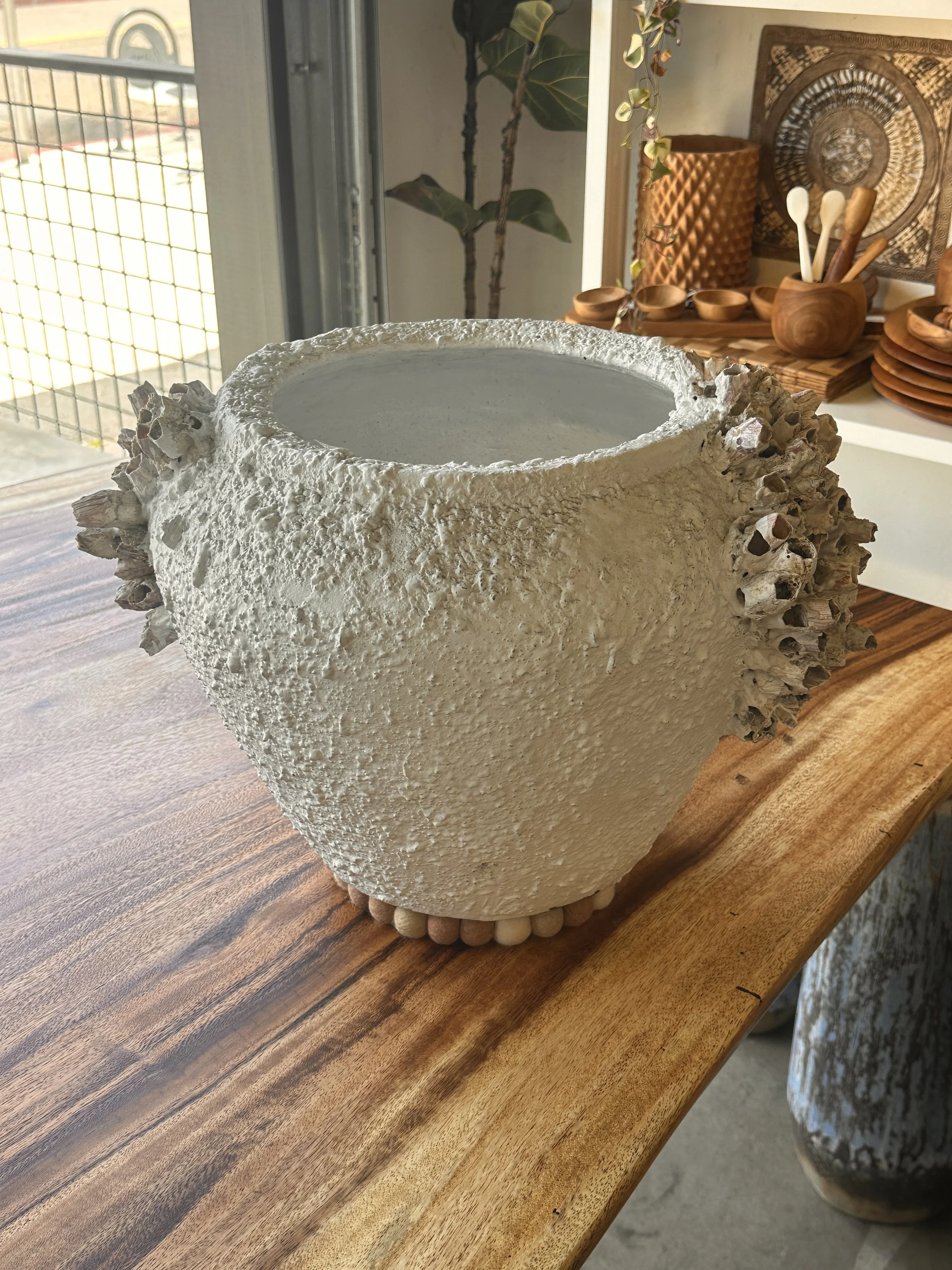 barnacle 13 inch pot.JPG