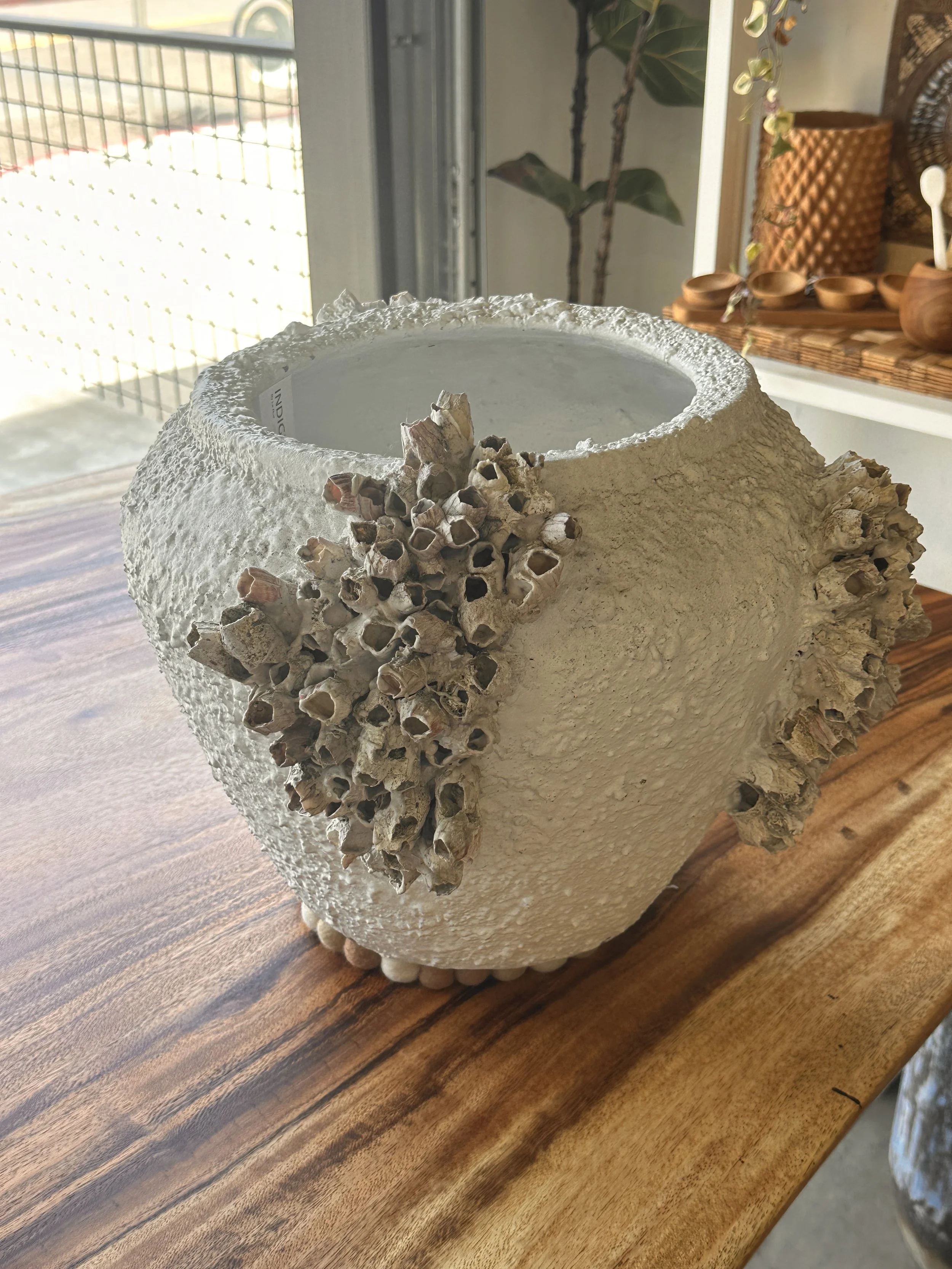 barnacle vase.JPG