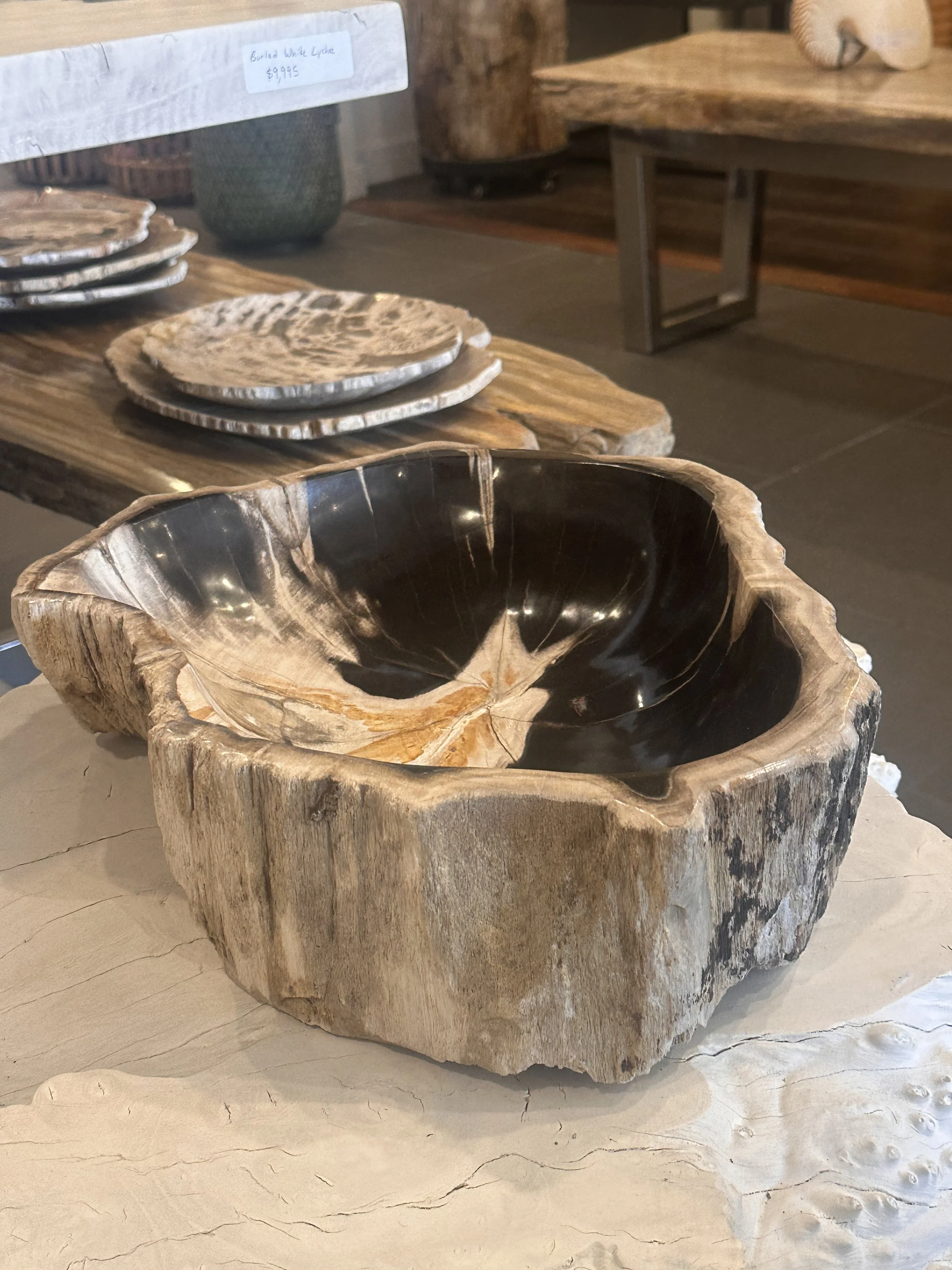 Petrified wood table top bowl.JPG
