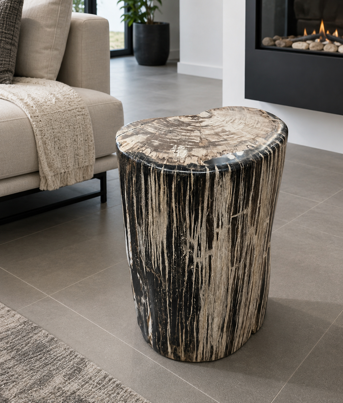 Small Striking Half Moon Petrified Stump