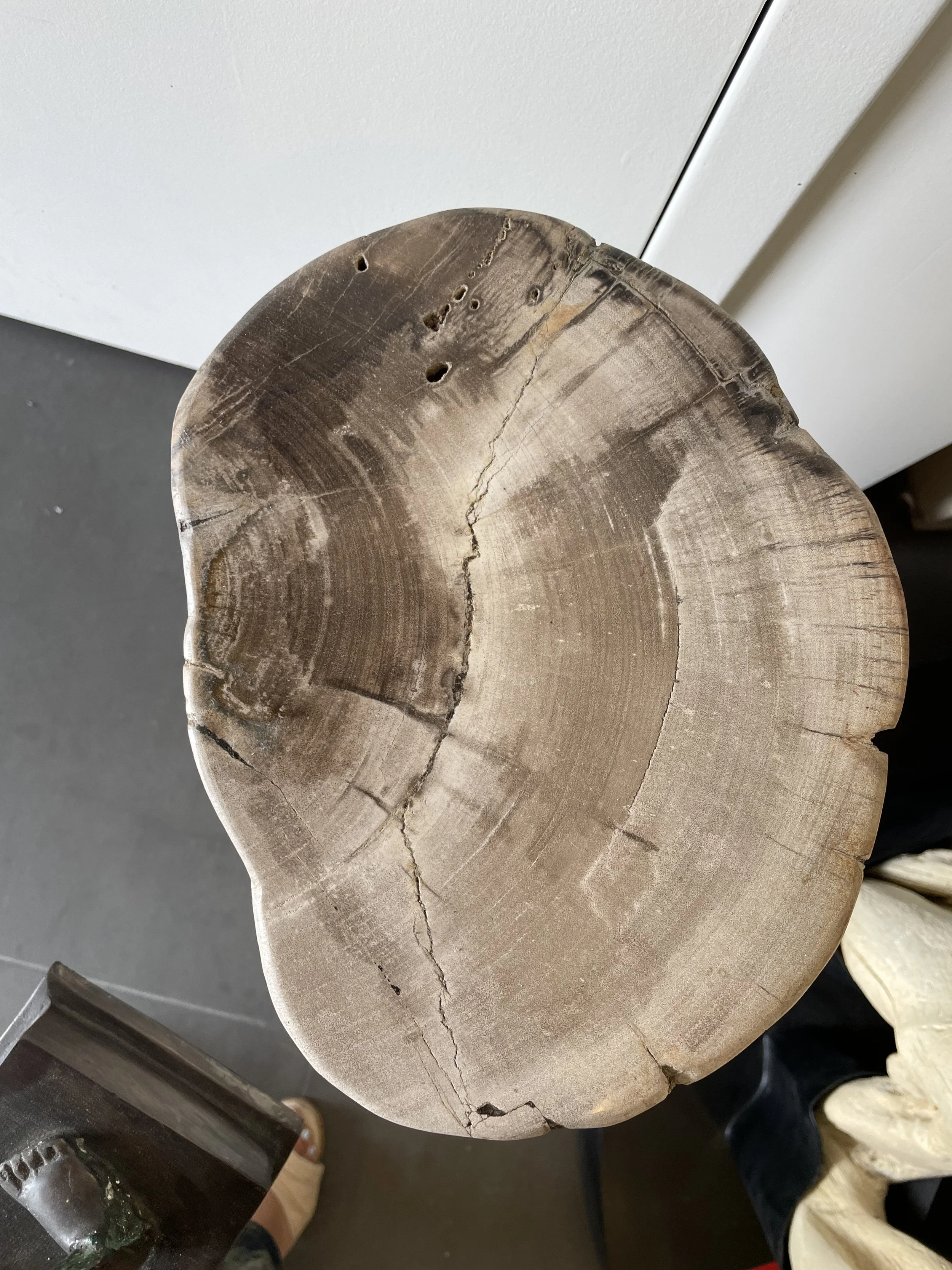 petrified end table.jpeg