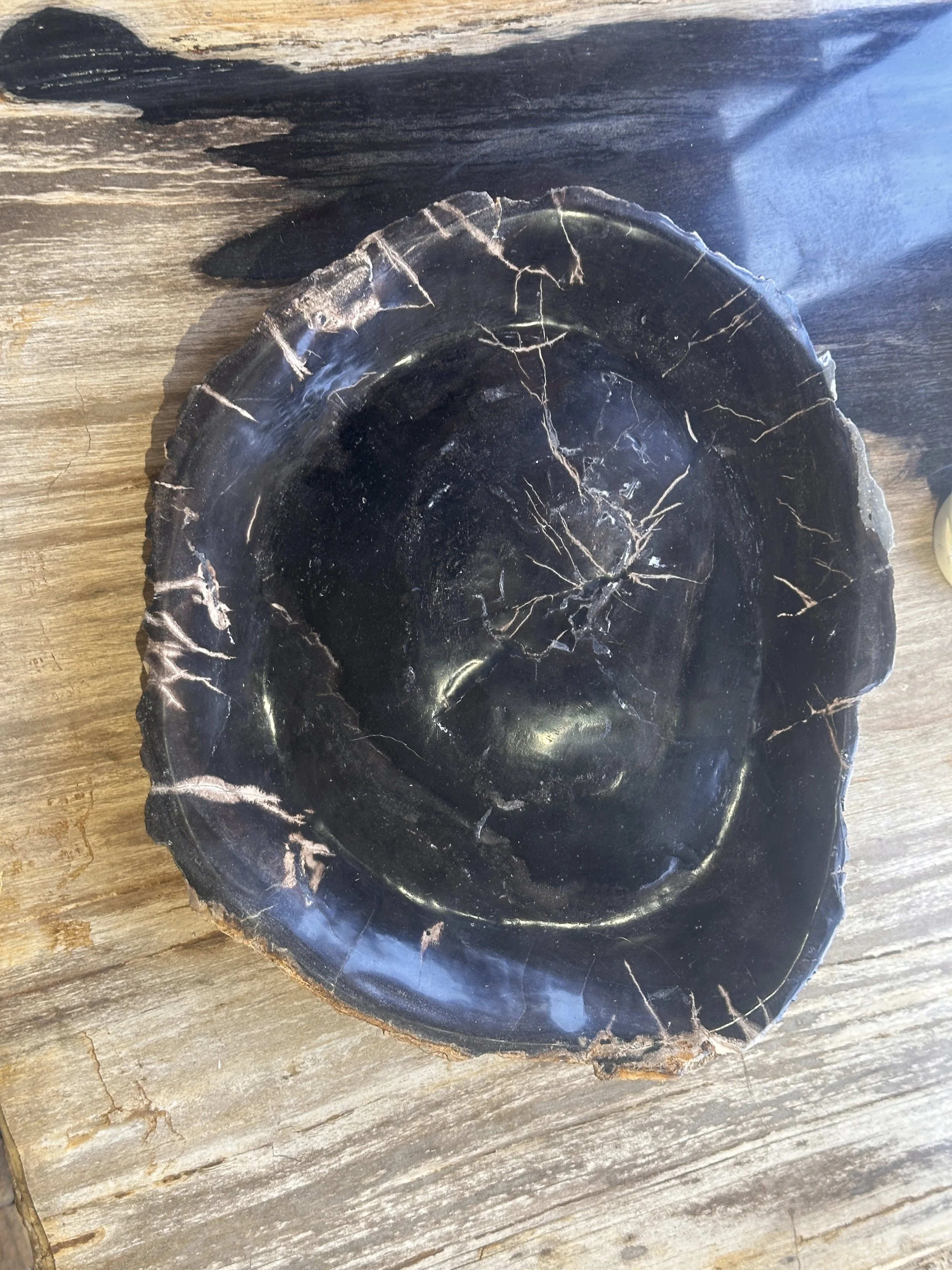 Black Petrified Platter.JPG