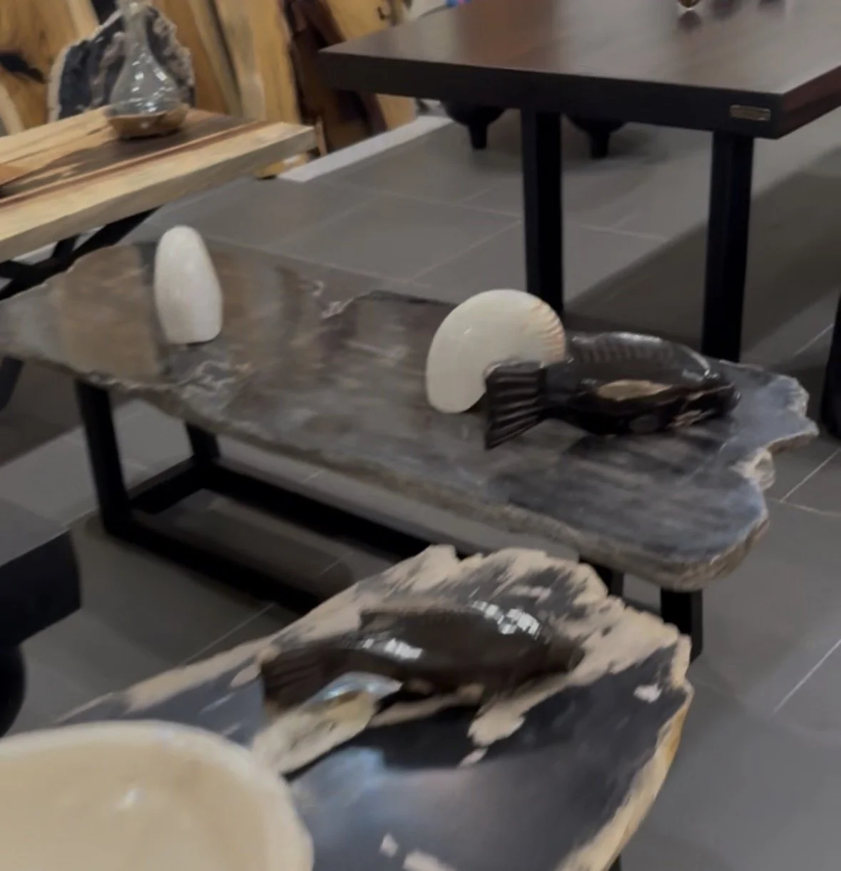 Black petrified coffee table in la jolla.jpg
