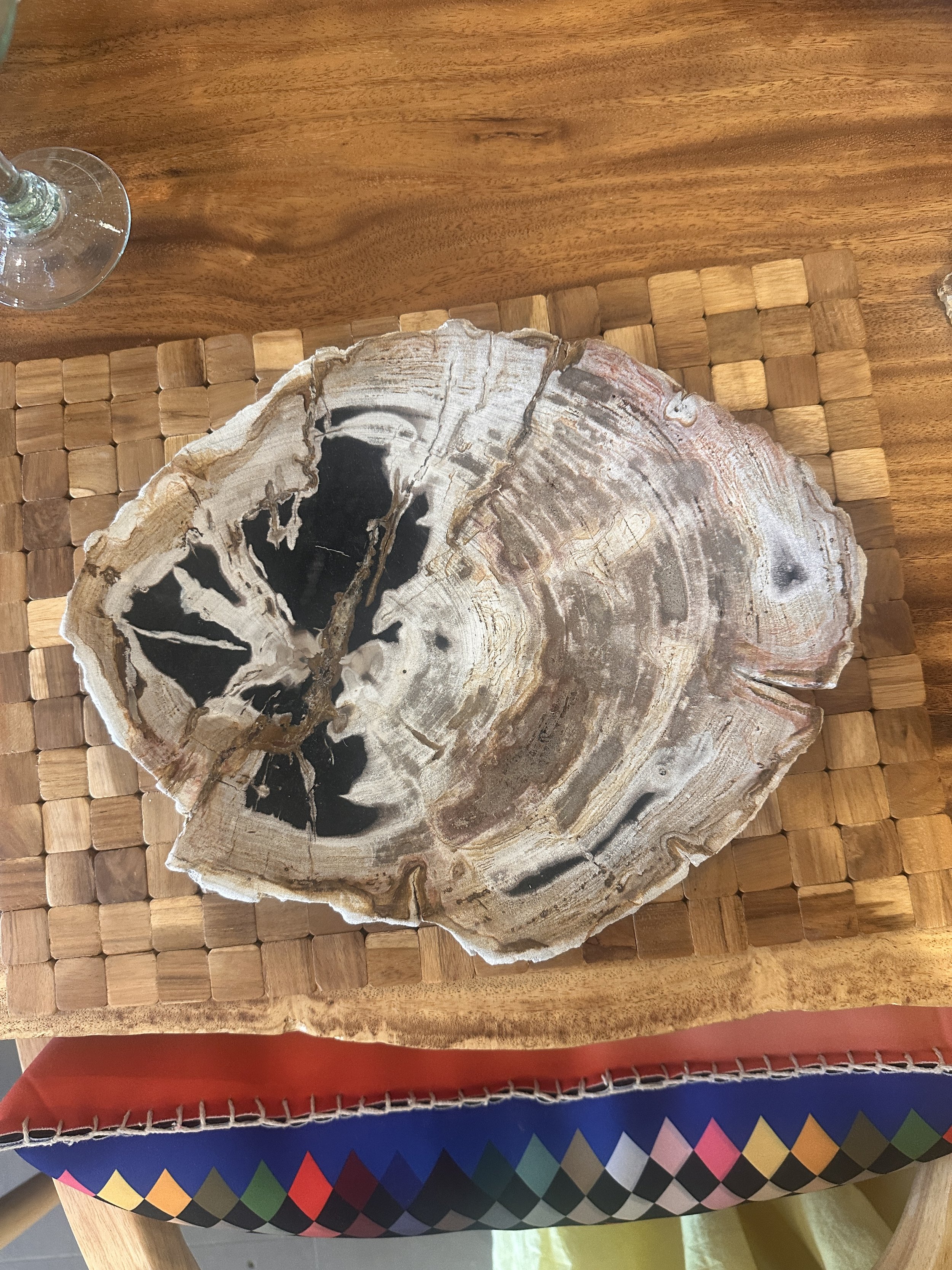 Black and white petrified plate.JPG