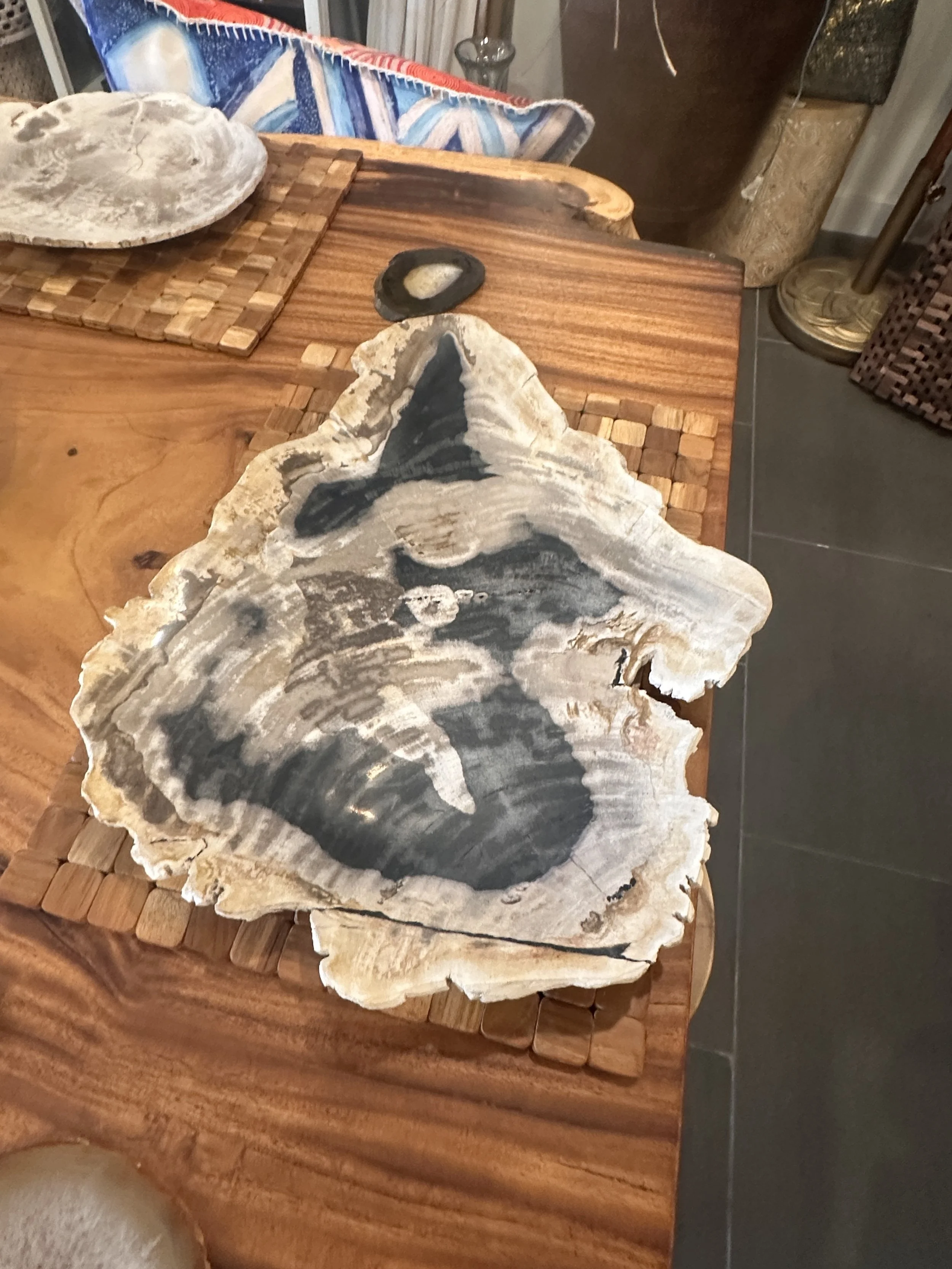 Black and White petrified platter.JPG